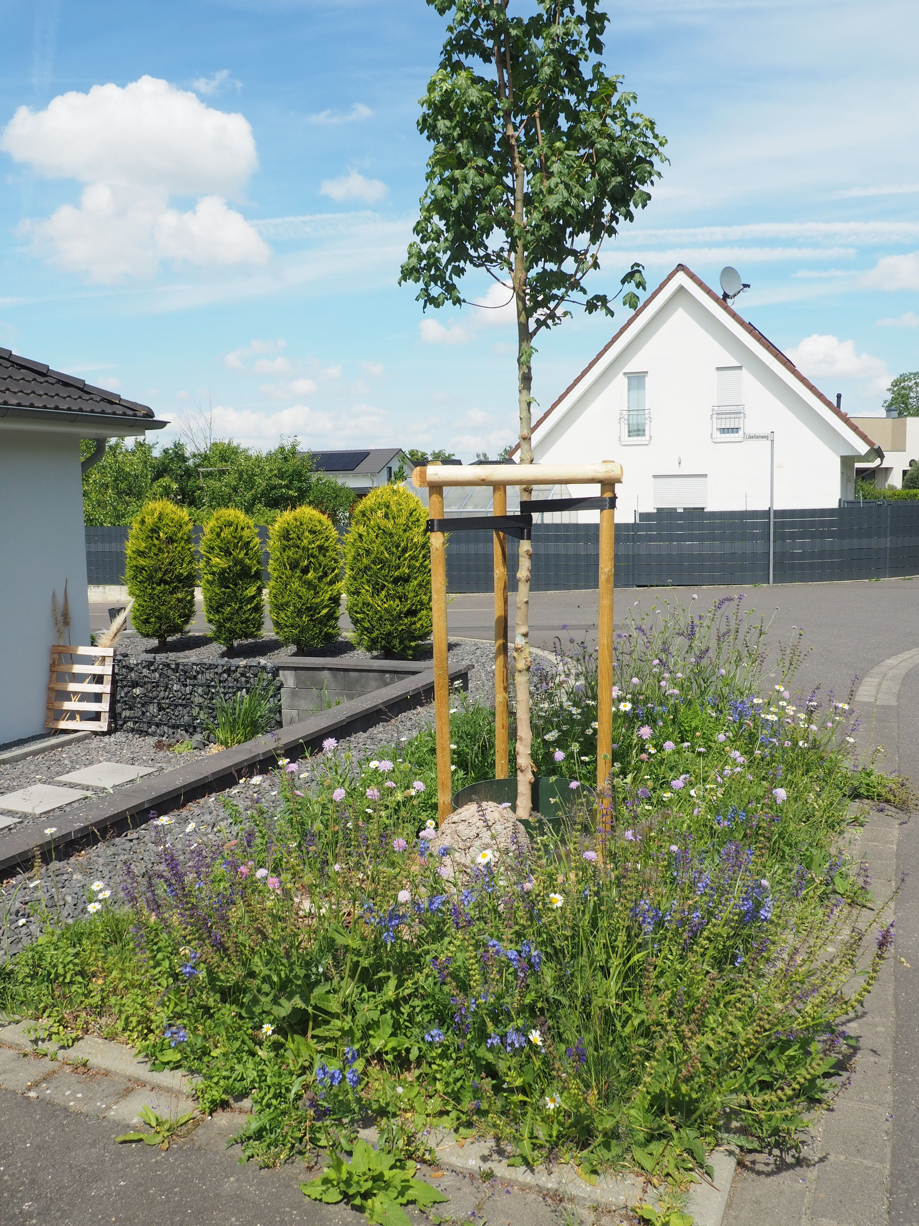 Rund um einen Straßenbaum blühen Wildblumen.