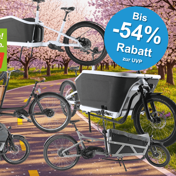 Auf dem Bild ist eine Collage aus diverse Lastenfahrrädern zu sehen auf einem noch frühlingshaften Hintergrund.