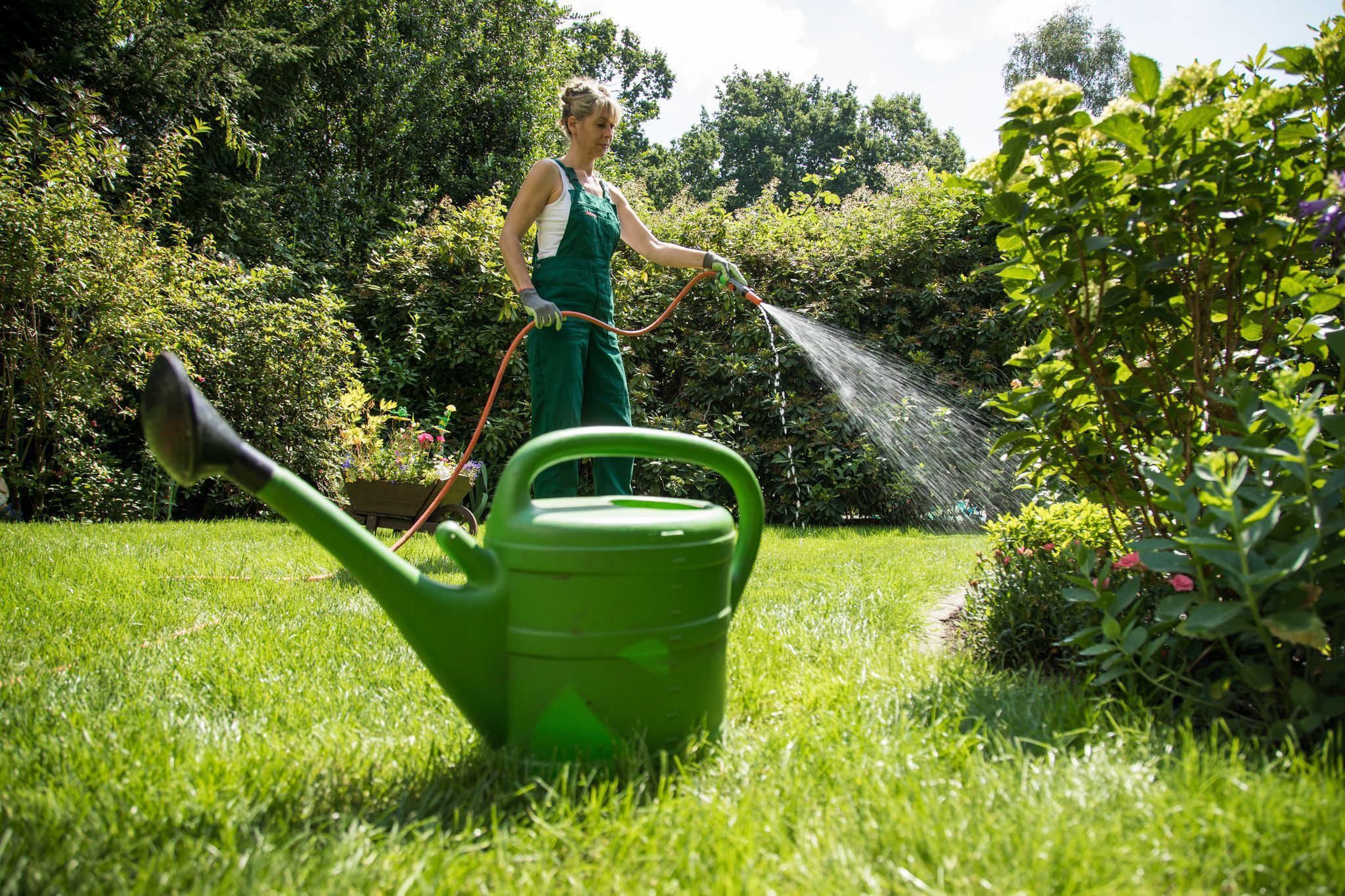 Eine Frau gießt Pflanzen mit einem Wasserschlauch