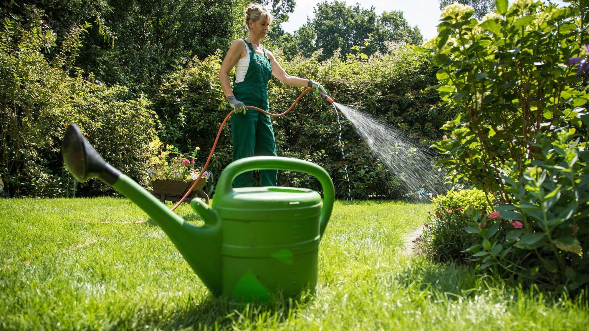 Eine Frau gießt Pflanzen mit einem Wasserschlauch