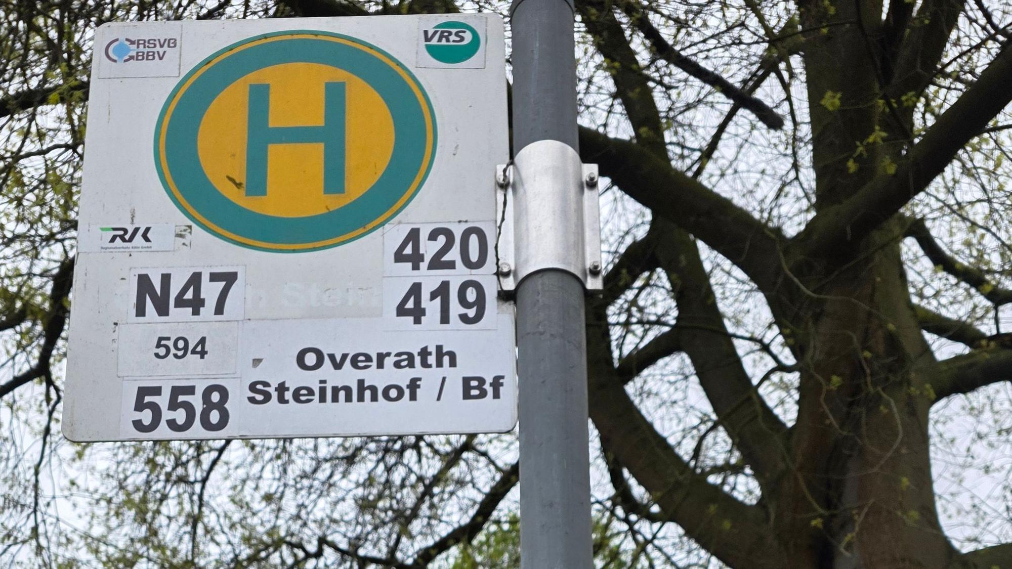 Ein Bushaltestellenschild der Linie 419.