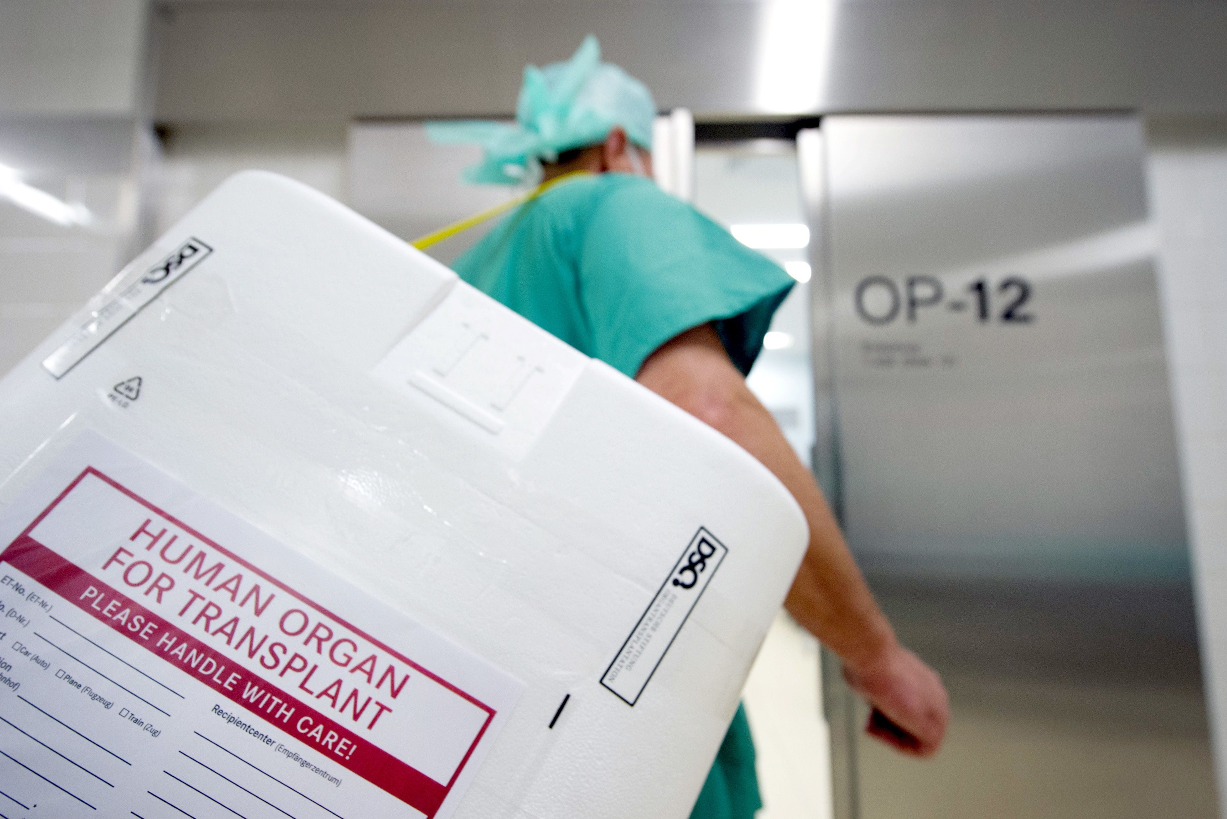 Ein Styropor-Behälter zum Transport von zur Transplantation vorgesehenen Organen zum Eingang eines OP-Saales getragen.
