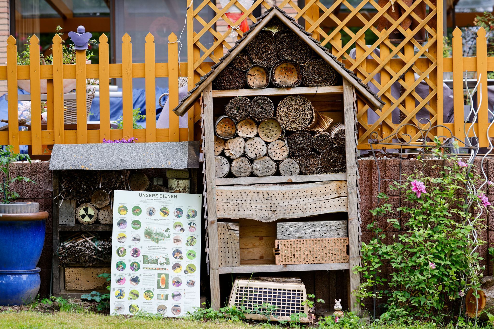 Bienenschutz in NRW