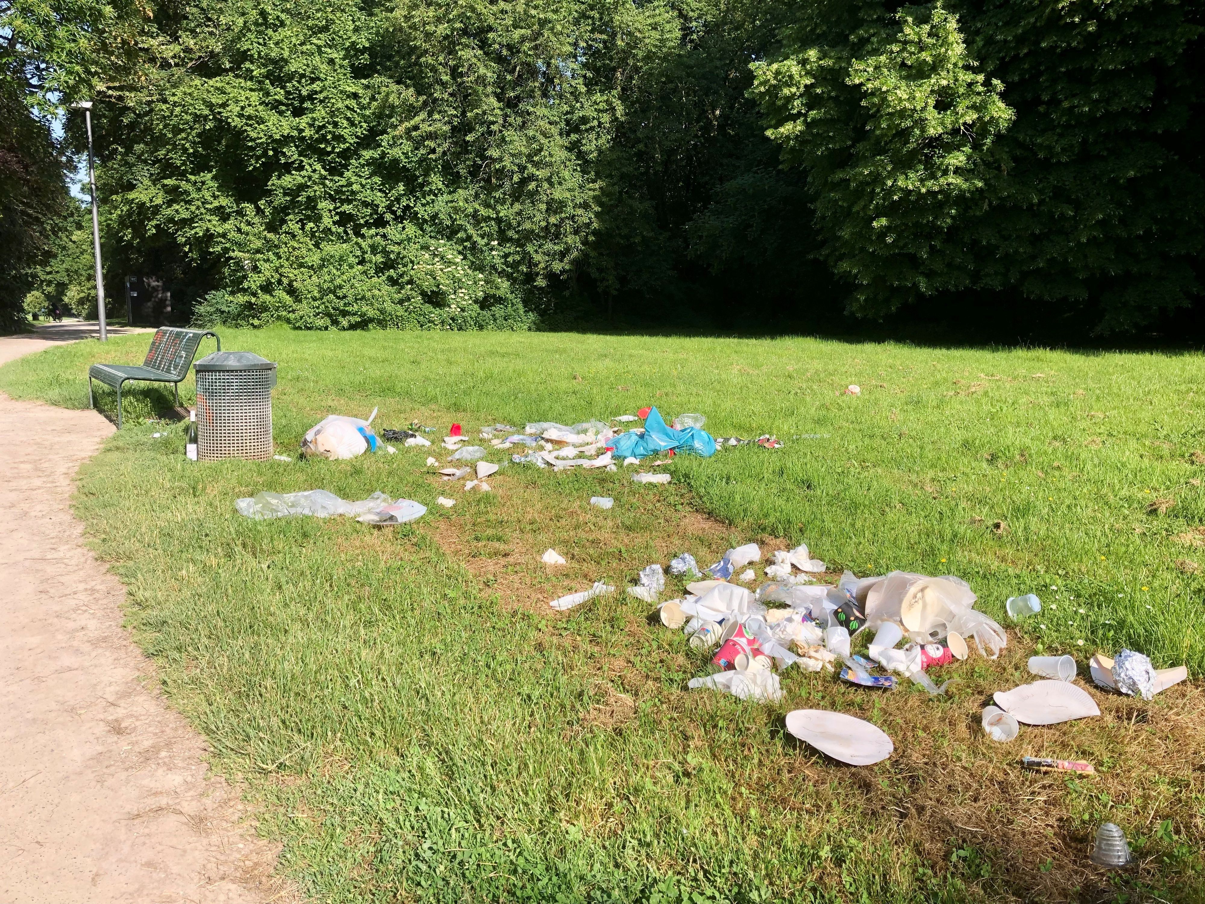 Müll liegt auf einer Wiese.