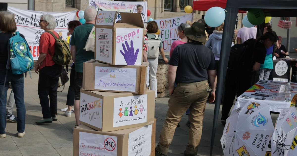 Faschismus: Grünen-Chef zieht 1933-Vergleich - Friedman warnt vor AfD