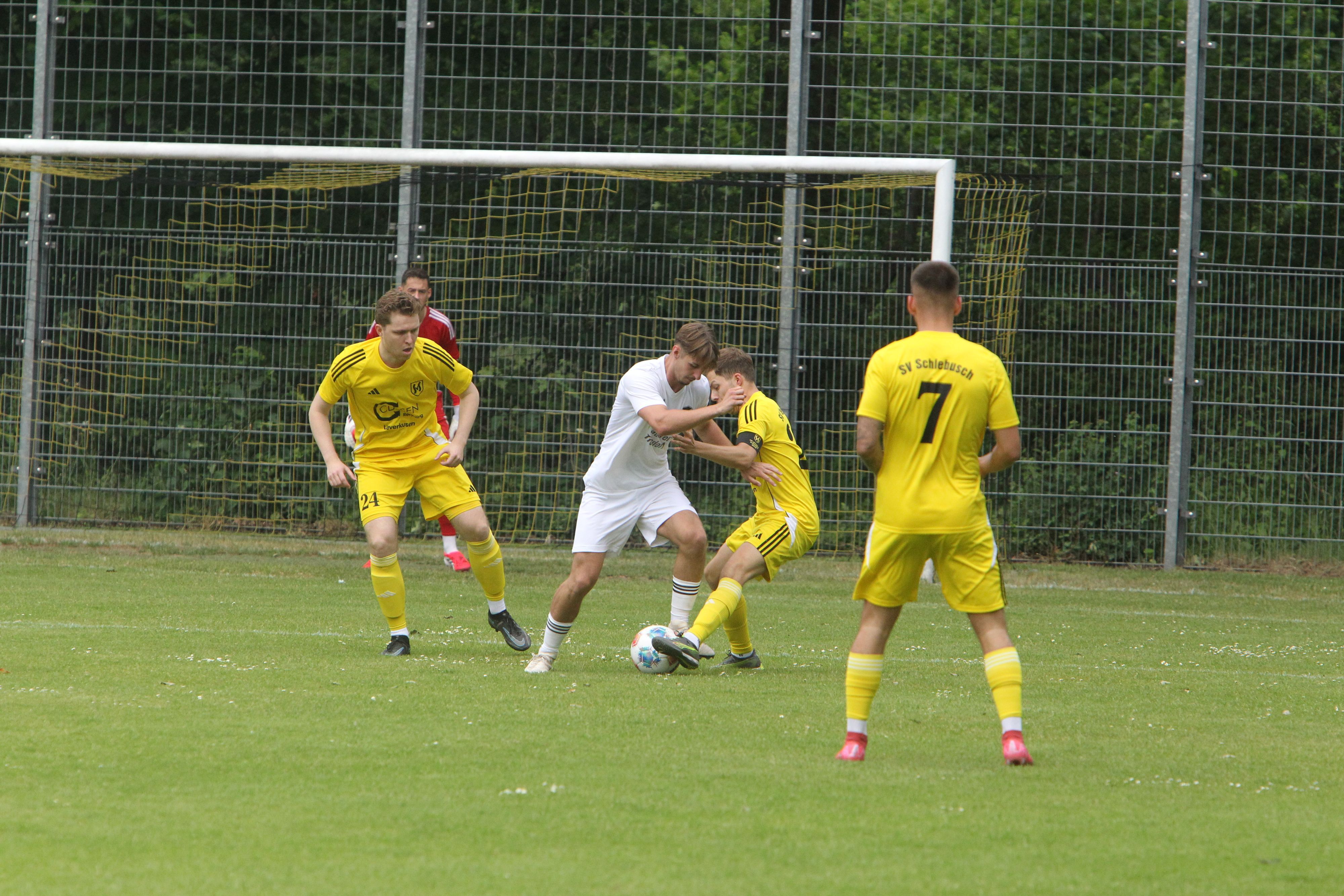 Jonas Degenhart