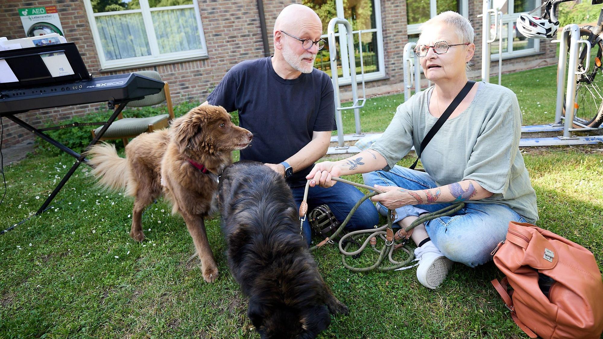 Ein Mann und eine Frau sitzen im Garten auf dem Boden neben zwei Hunden.