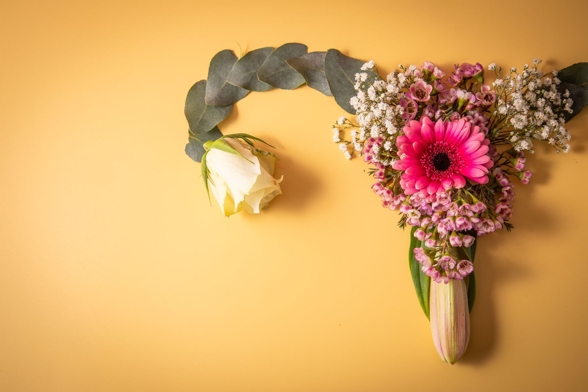Weibliches Reproduktionssystem aus Blumen