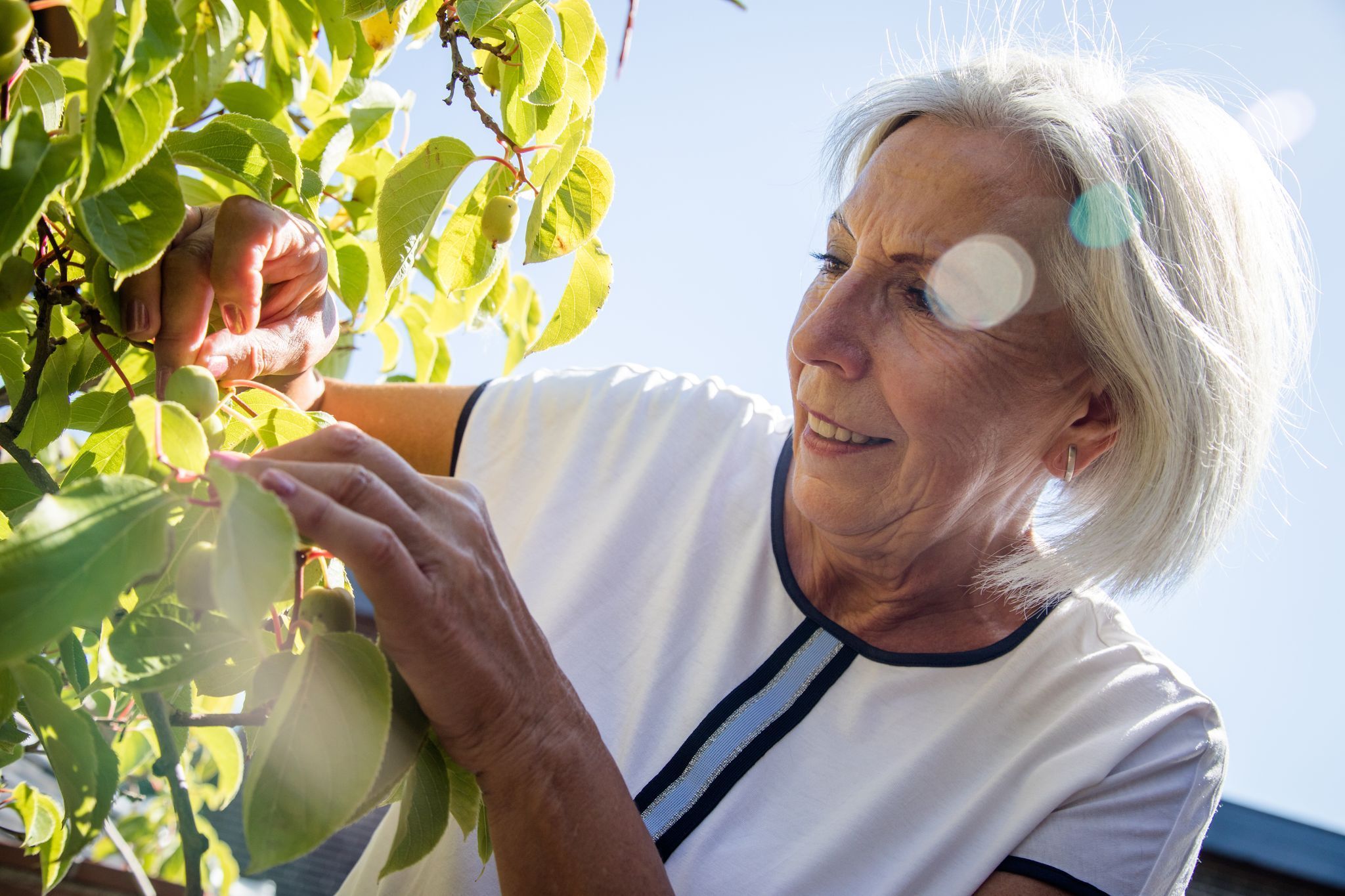 Eine Seniorin bei der Gartenarbeit