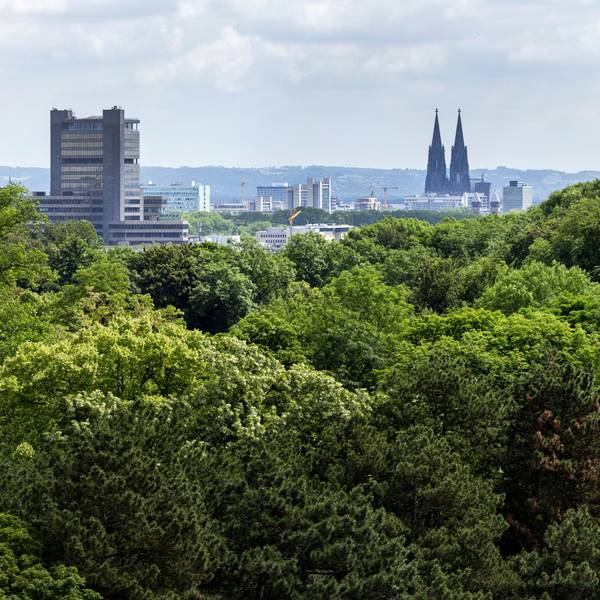 Blick vom Dach des Rhein-Energie-Stadions über den Stadtwald hinweg in Richtung Kölner Dom.