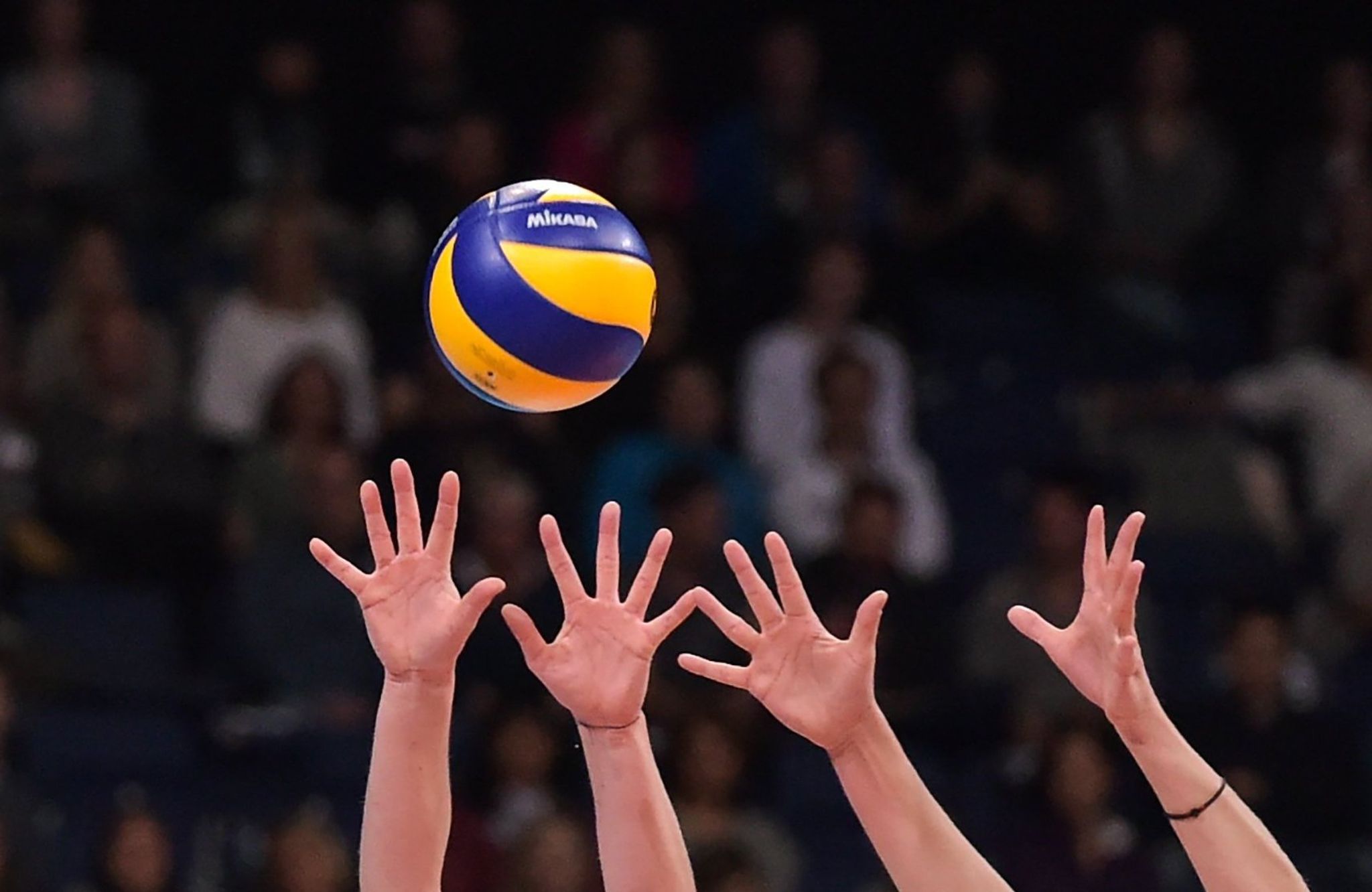 Volleyball