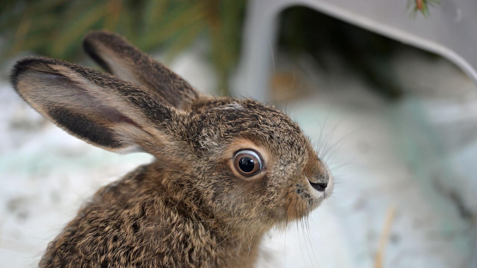 Besuch in einer Wildtier-Auffangstation
