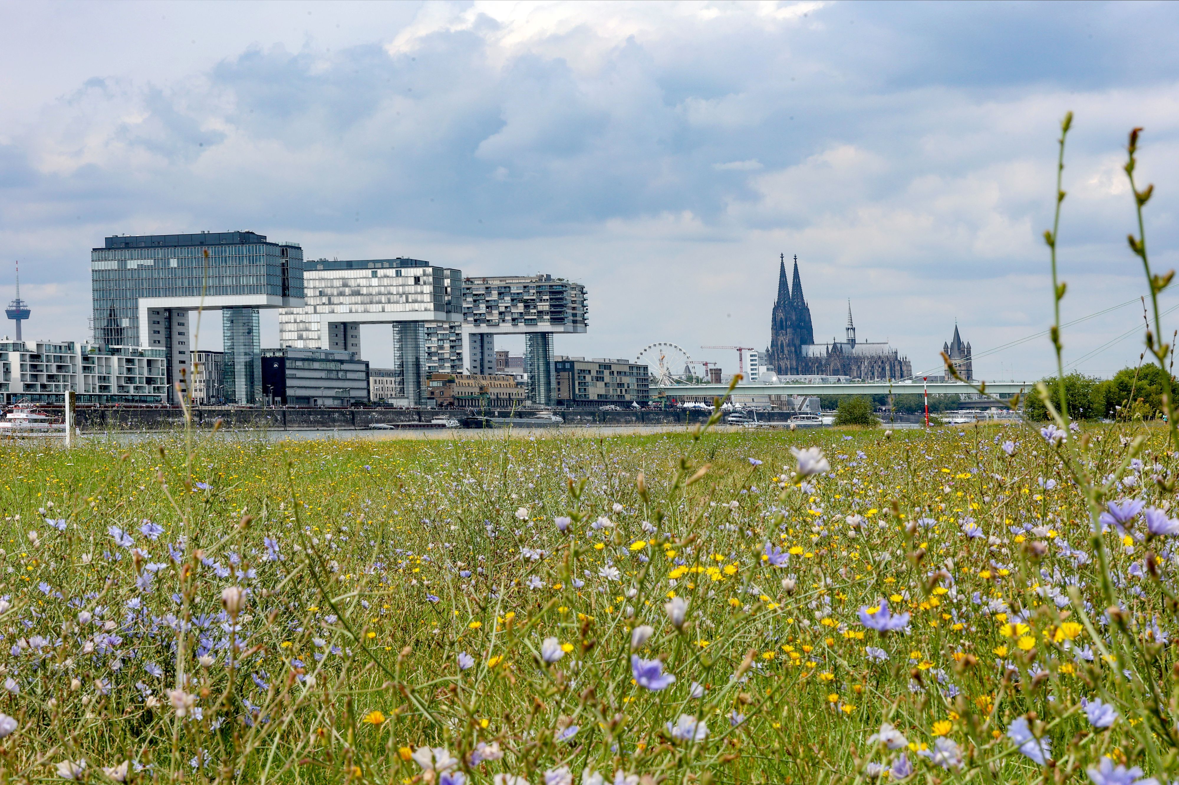 Der Kölner Dom, die Kranhäuser links und das Riesenrad dahinter - zu sehen von den Poller Wiesen.