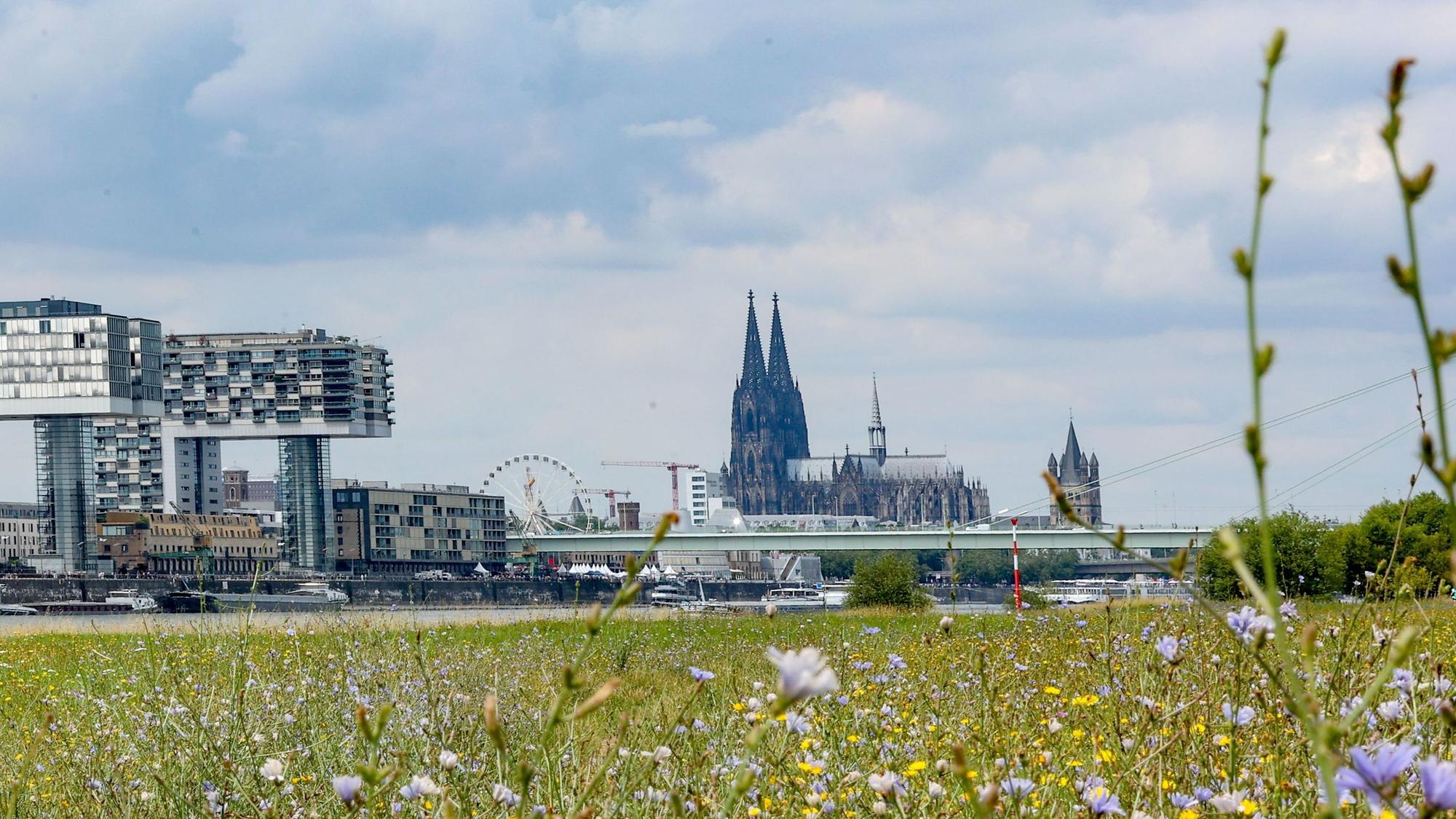 Der Kölner Dom, die Kranhäuser links und das Riesenrad dahinter - zu sehen von den Poller Wiesen.
