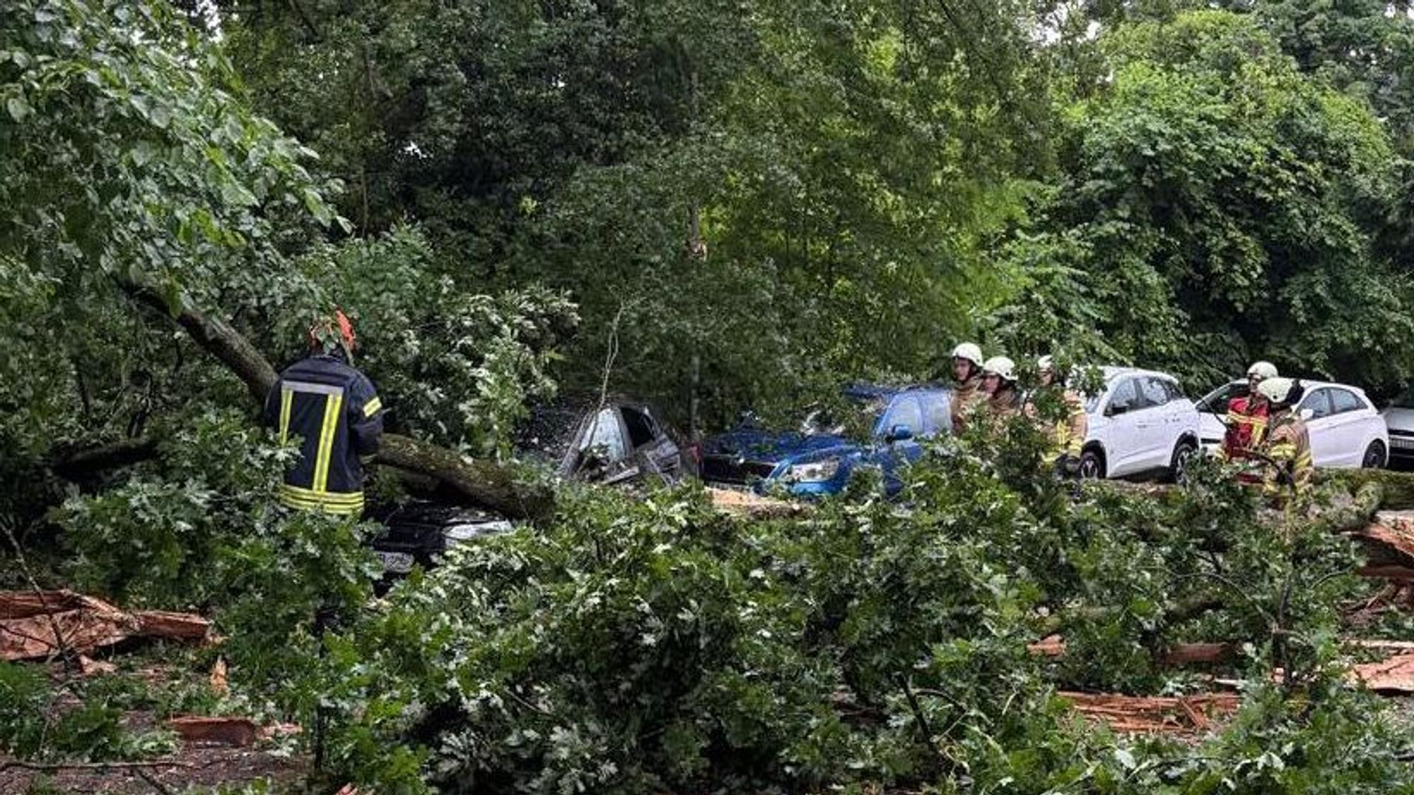 Feuerwehrleute beseitigen Äste nach einem Blitzeinschlag an der Friedrichstraße in Bergisch Gladbach.