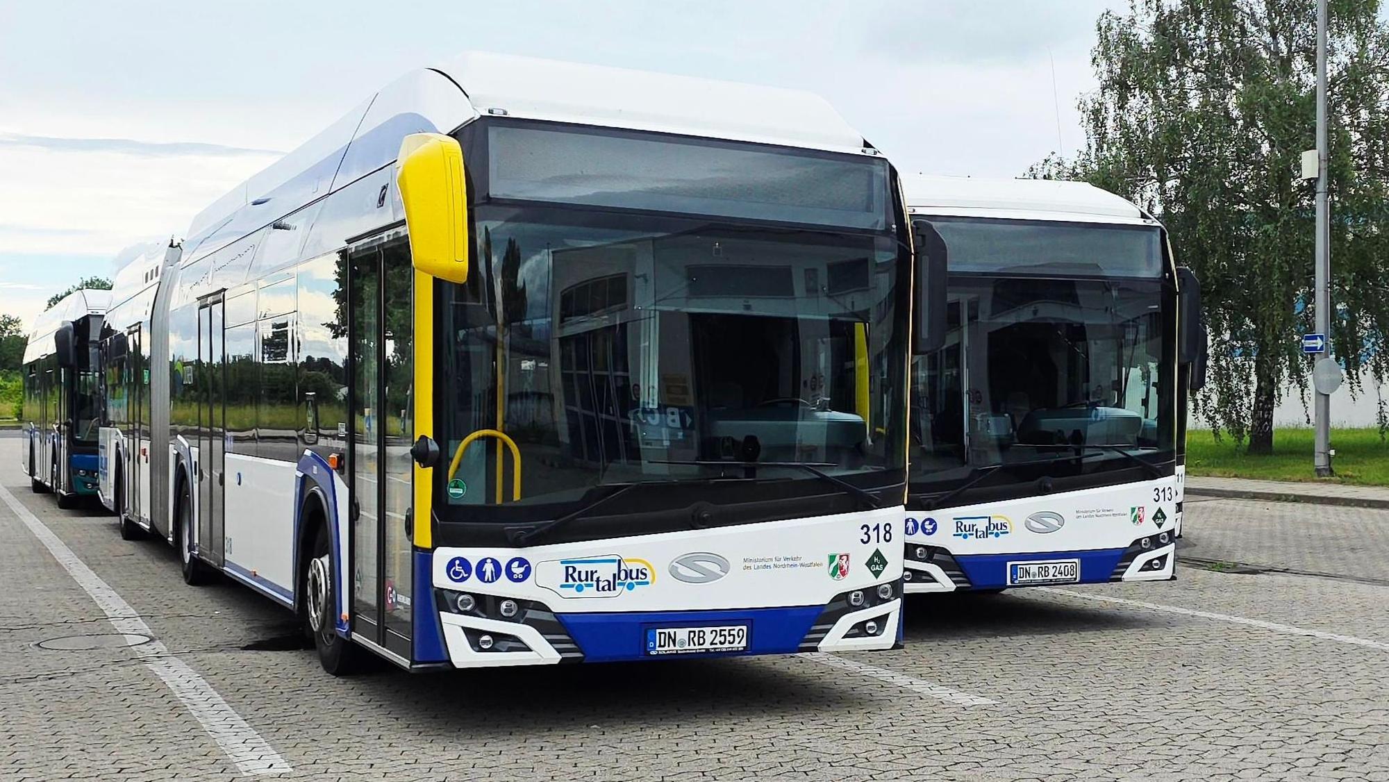 Blick auf zwei Busse.