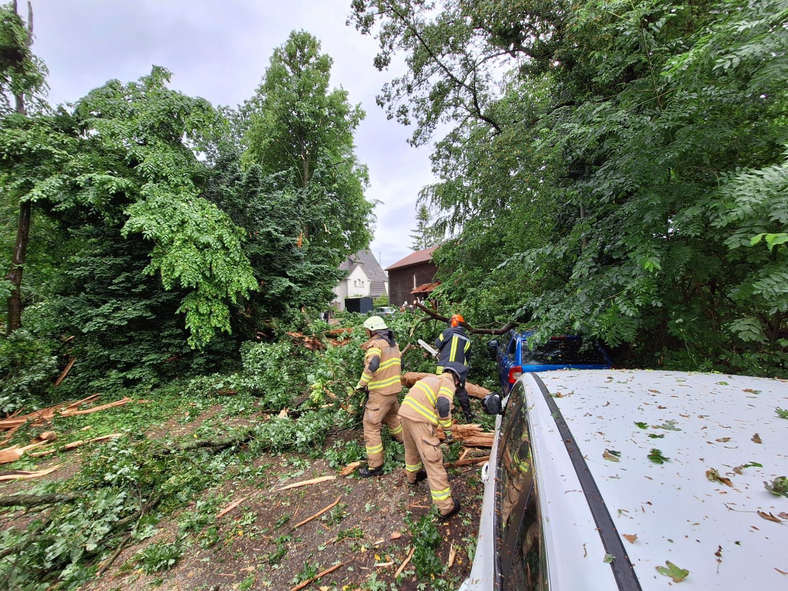 Feuerwehrleute schaffen Äste zur Seite nach einem Blitzeinschlag an der Friedrichstraße in Bergisch Gladbach.