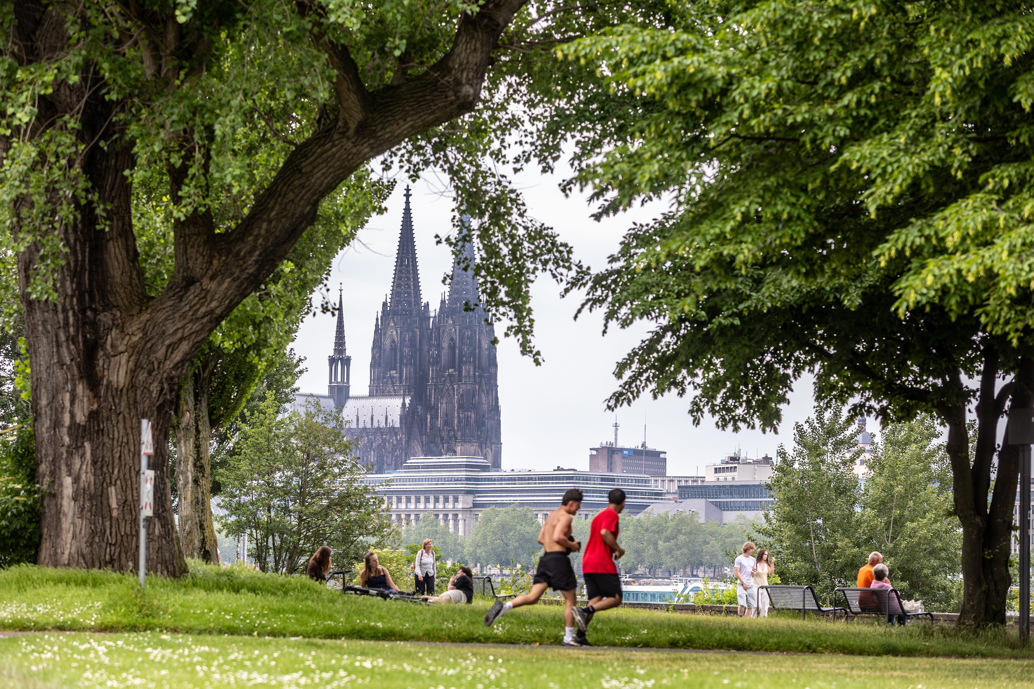 Der Rheinpark, im Hintergrund ist der Kölner Dom sichtbar. (Symbolbild)