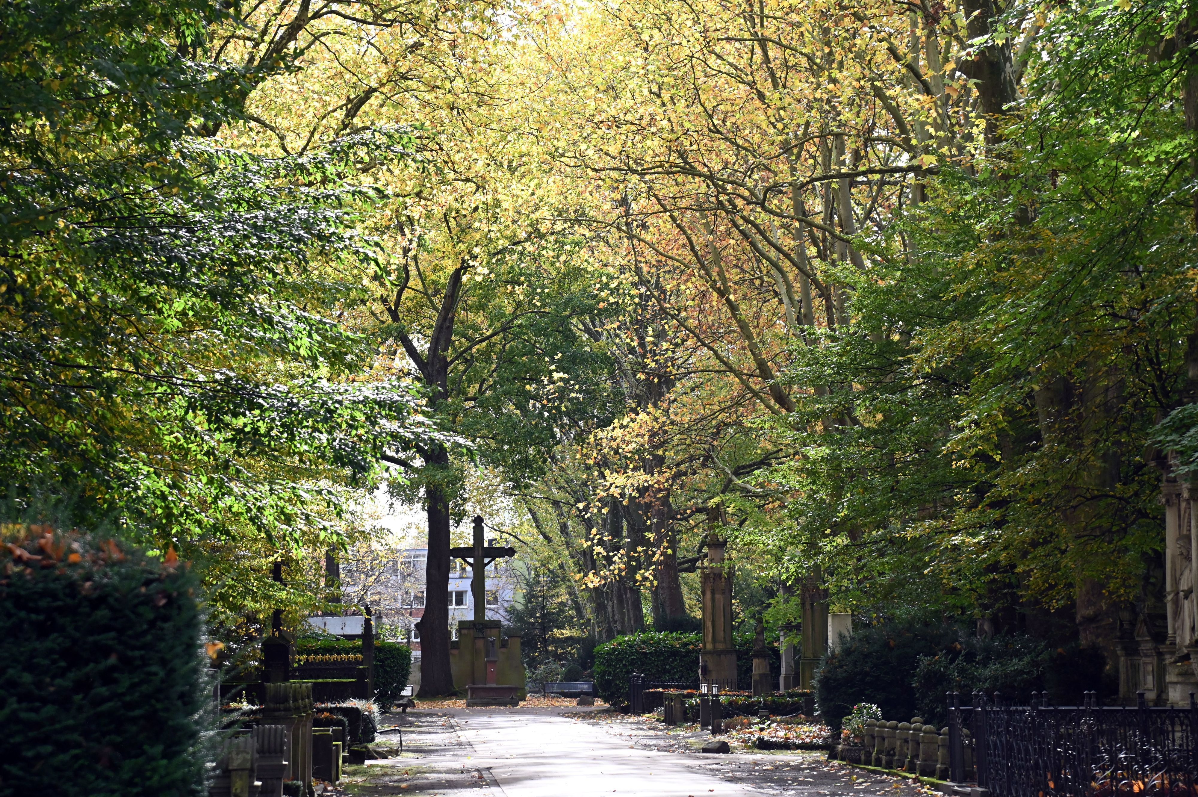 24.10.2025 Köln. Herbst 2025. Allgemeine Aufnahmen des Melatenfriedhof (Friedhof Melaten) in Köln. Im Herbst bietet sich mit den bunten Blättern an den Bäumen auf den Kölner Friedhöfen eine besondere Stimmung. Foto: Alexander Schwaiger