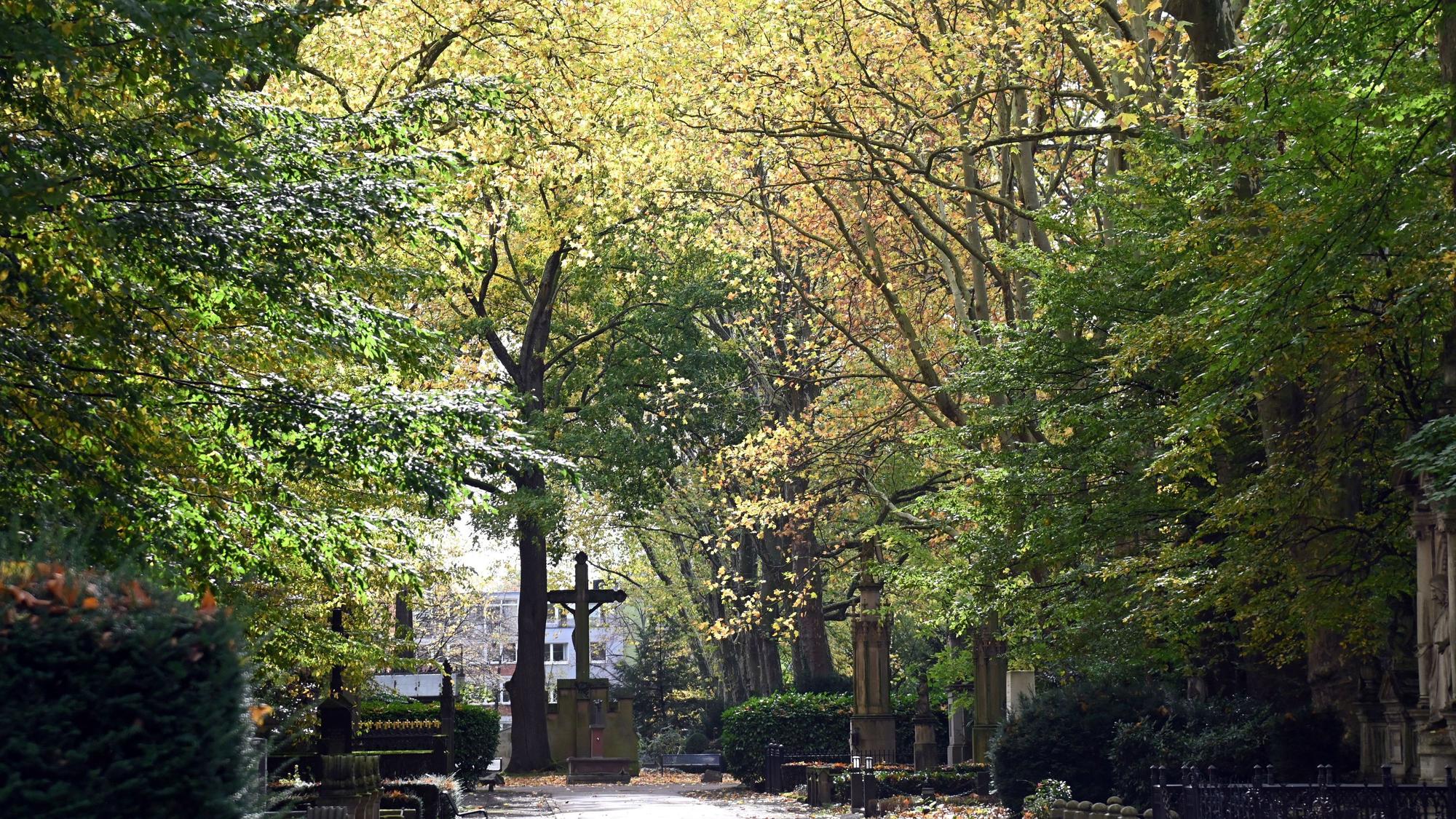 Blick auf den Friedhof Melaten