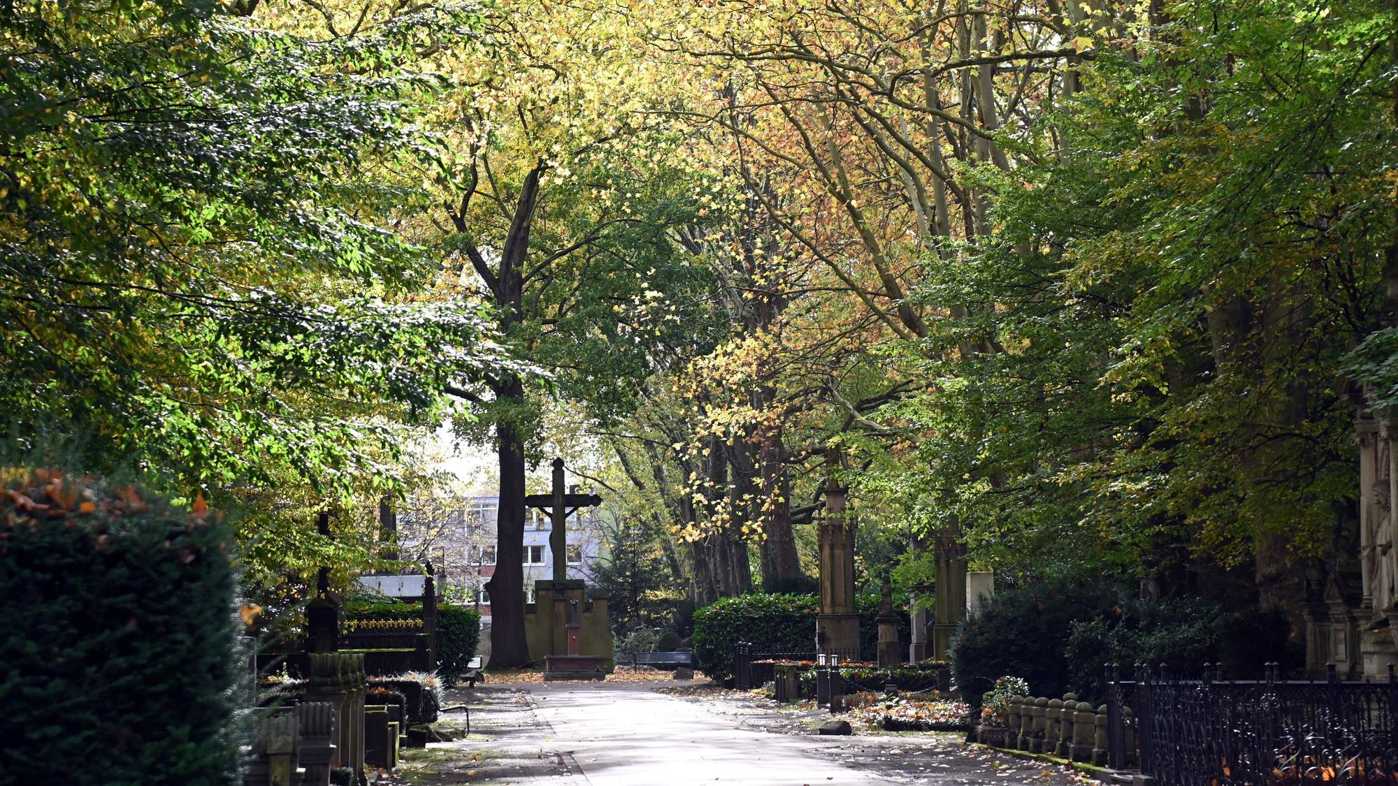 24.10.2025 Köln. Herbst 2025. Allgemeine Aufnahmen des Melatenfriedhof (Friedhof Melaten) in Köln. Im Herbst bietet sich mit den bunten Blättern an den Bäumen auf den Kölner Friedhöfen eine besondere Stimmung. Foto: Alexander Schwaiger