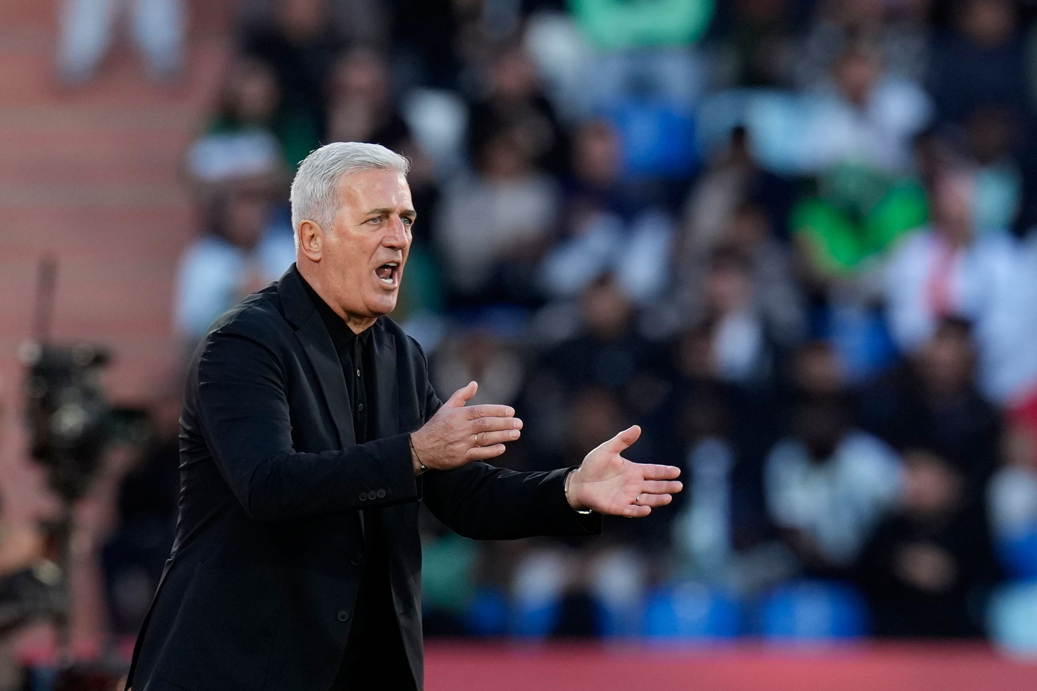 Erfolg-mit-Algerien-Vladimir-Petkovic-verl-ngert-seinen-Vertrag-als-Trainer-bis-2028
