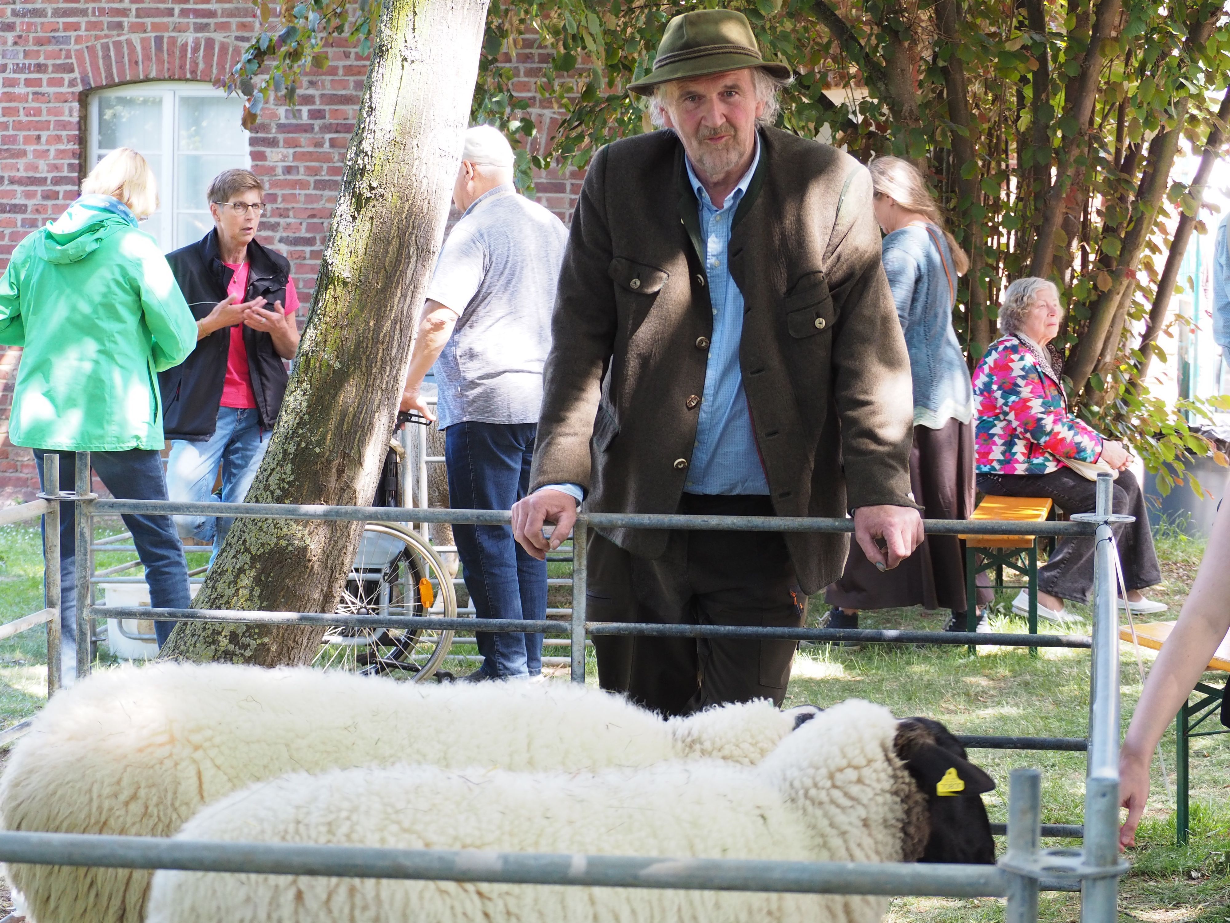 Georg Bungart steht neben seinen Schafen.