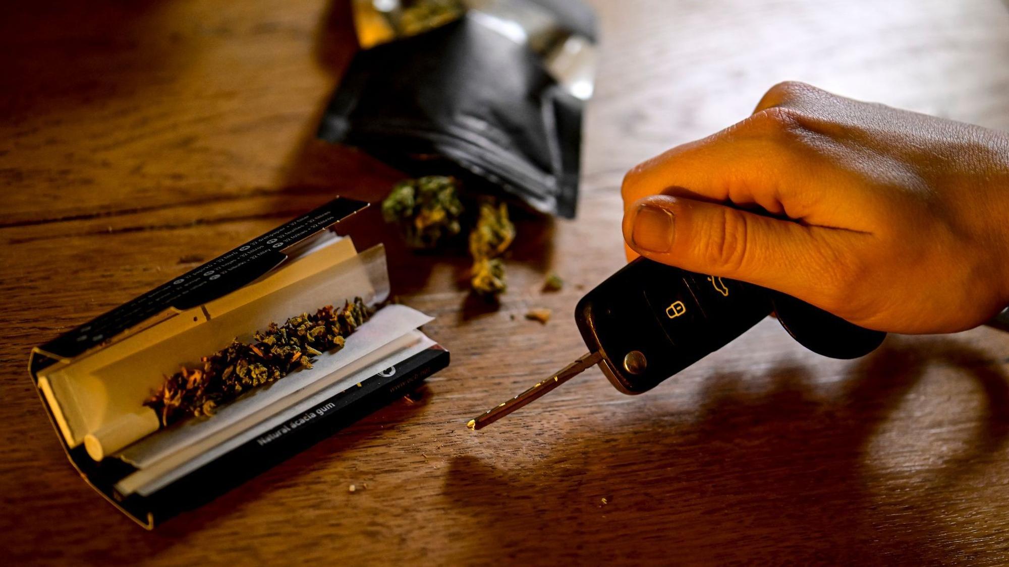 Cannabis