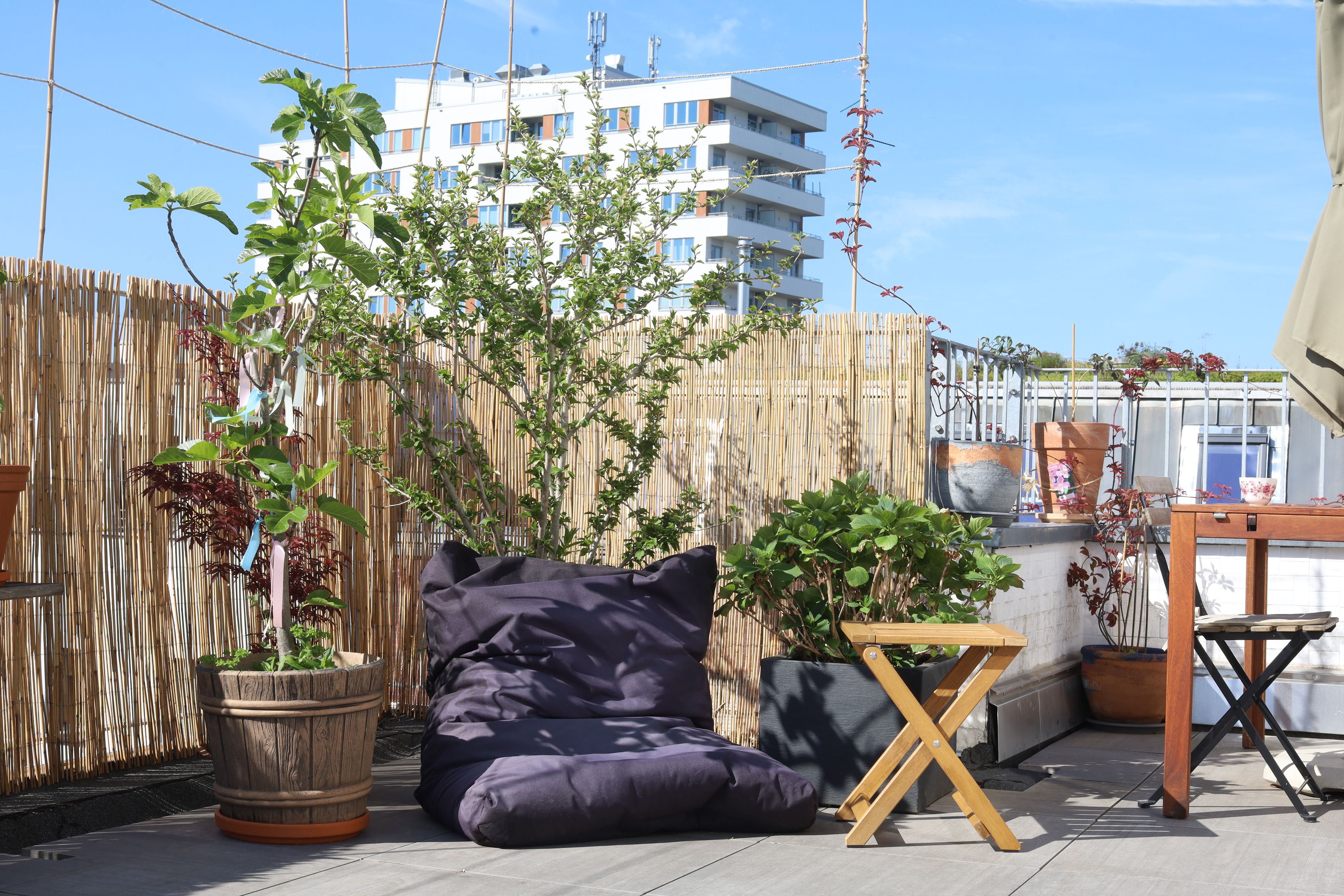 Ein Sitzsack und viel Grün finden sich auf der Terrasse.