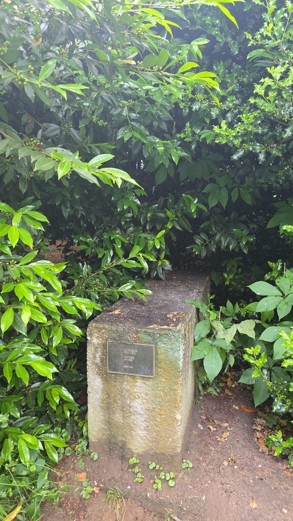Der leere Steinsockel im Südpark, auf dem zuvor die Skulptur „Panther“ stand.