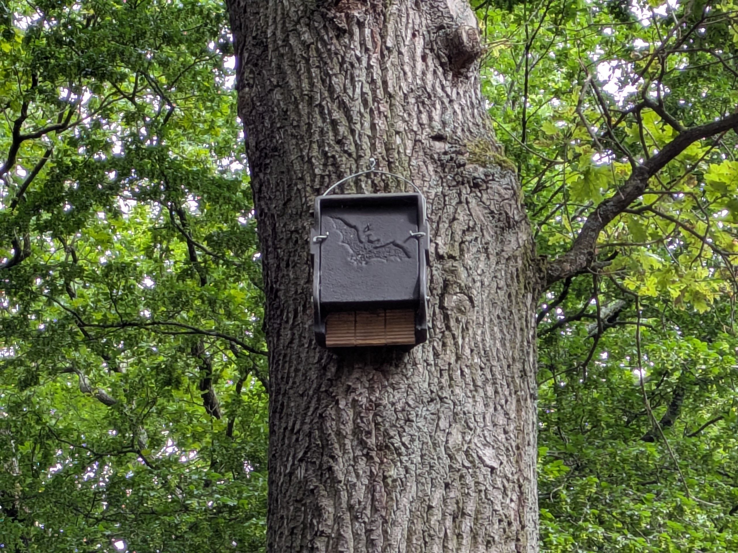 Ein Fledermauskasten auf dem Friedhof Reuschenberg