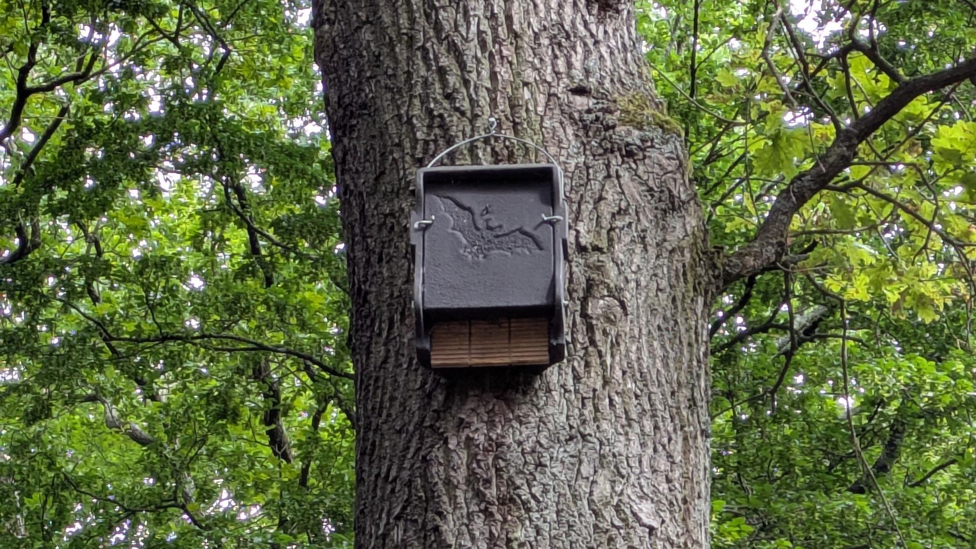 Ein Fledermauskasten auf dem Friedhof Reuschenberg