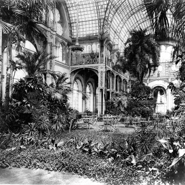 So sah der Palmengarten im 1864 eröffneten Botanischen Garten in Köln aus. Das Gebäude wurde als Festhaus „Flora“ wieder aufgebaut.
