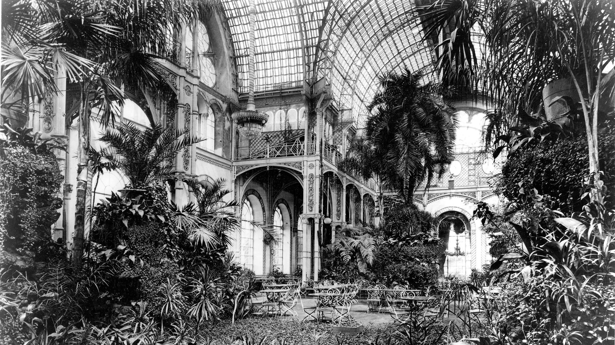 So sah der Palmengarten im 1864 eröffneten Botanischen Garten in Köln aus. Das Gebäude wurde als Festhaus „Flora“ wieder aufgebaut.