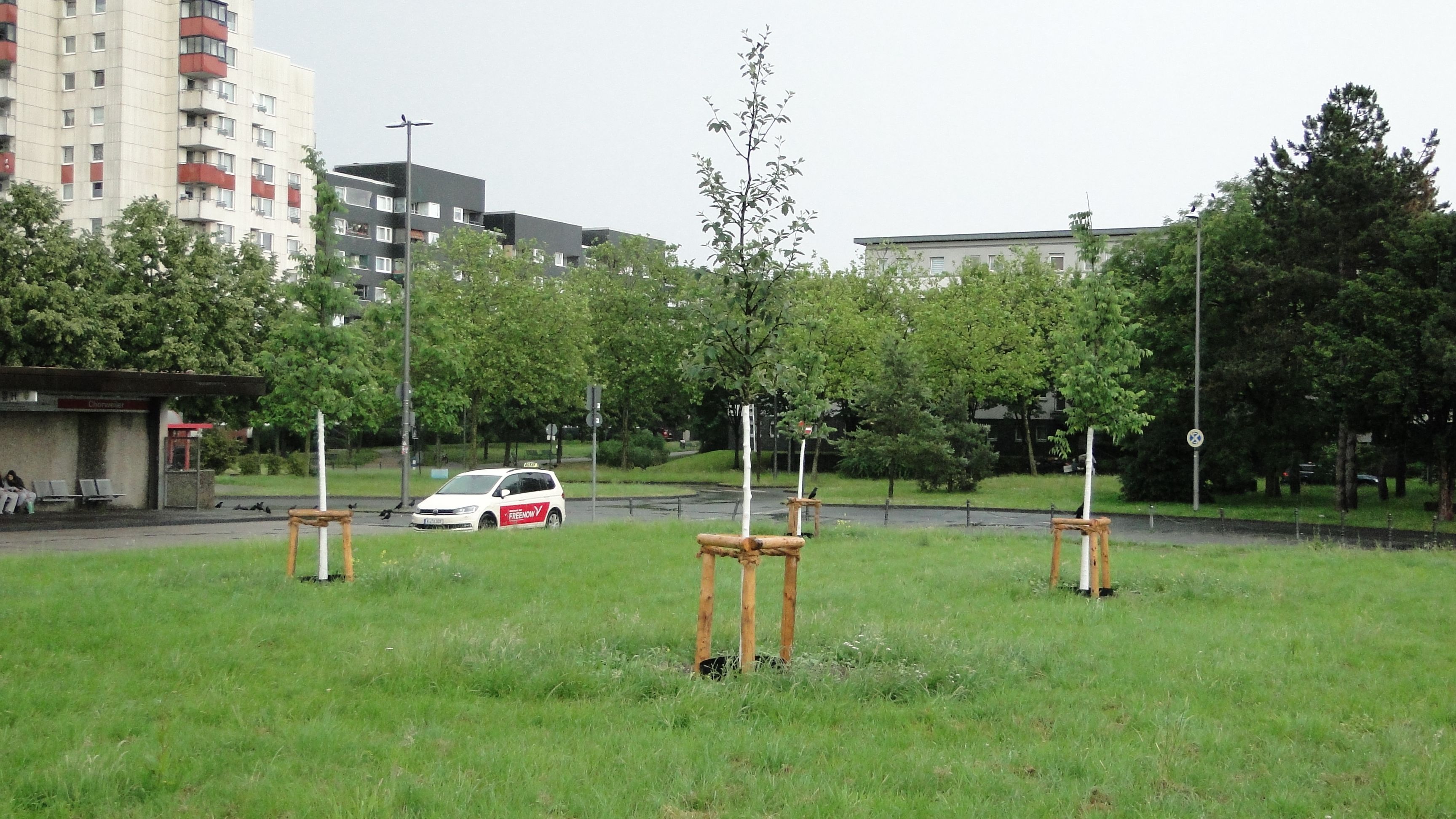 Baumanpflanzungen auf dem Turkuplatz, Chorweiler