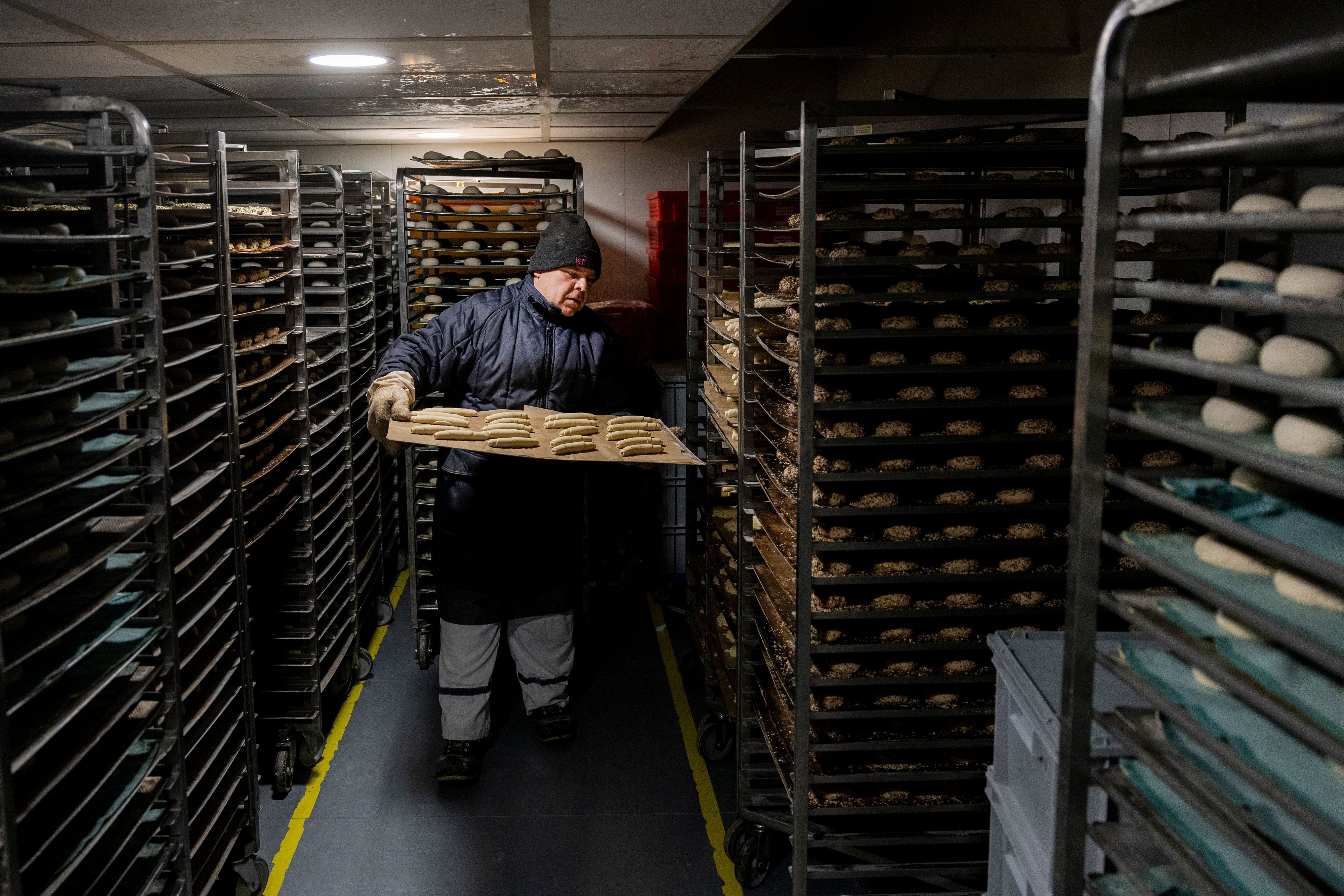 In den Kühlräumen werden die vorgefertigten Teiglinge gelagert und erst in den Filialen fertig gebacken. Ein Mitarbeiter schiebt ein Blech in die Kühlregale.