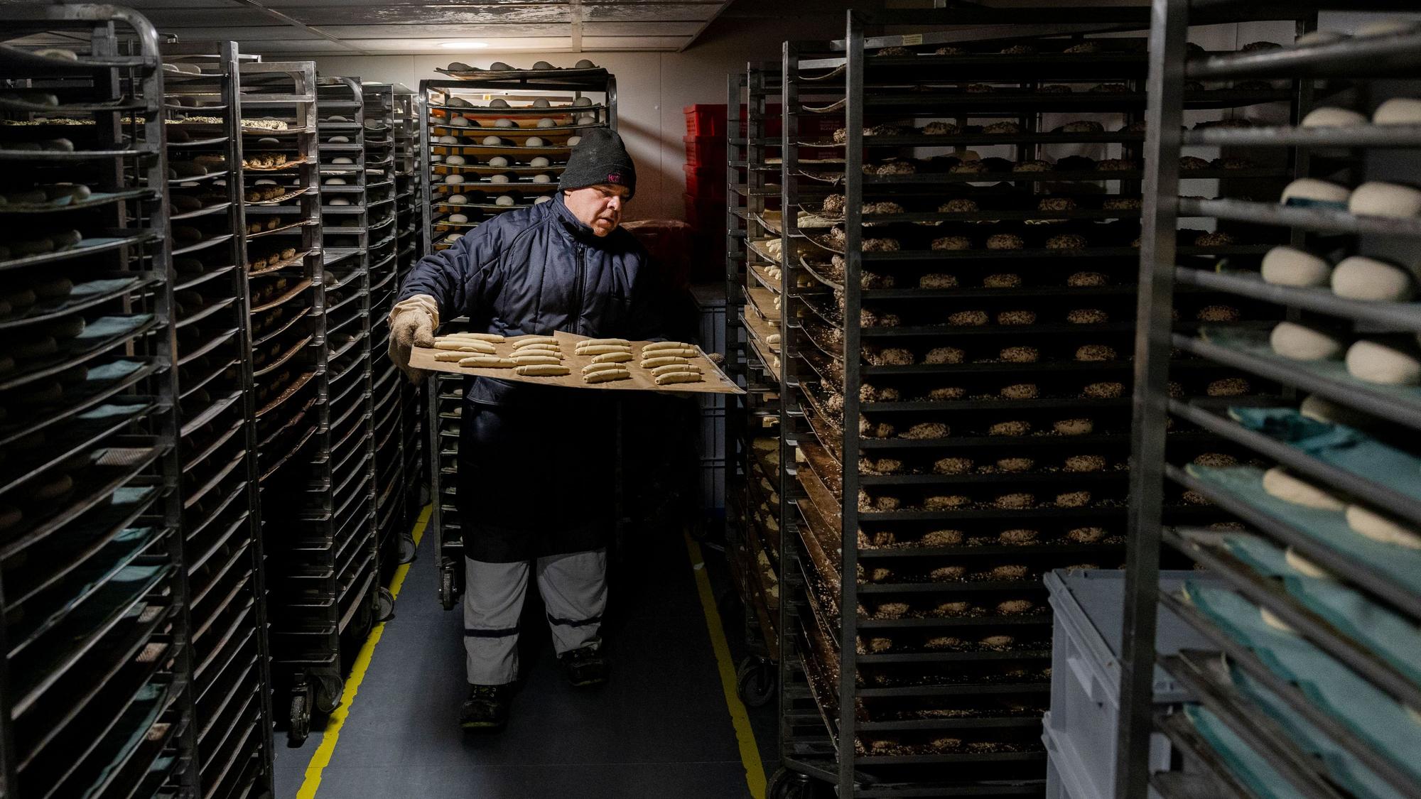 In den Kühlräumen werden die vorgefertigten Teiglinge gelagert und erst in den Filialen fertig gebacken. Ein Mitarbeiter schiebt ein Blech in die Kühlregale.