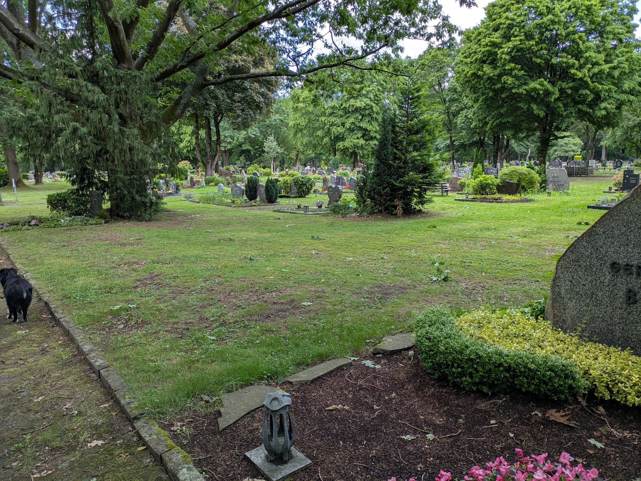 Ein Friedhof mit alten Bäumen