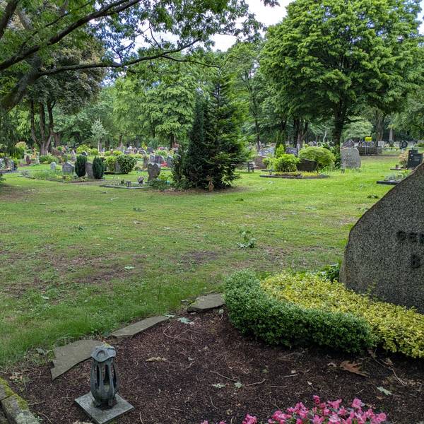 Ein Friedhof mit alten Bäumen