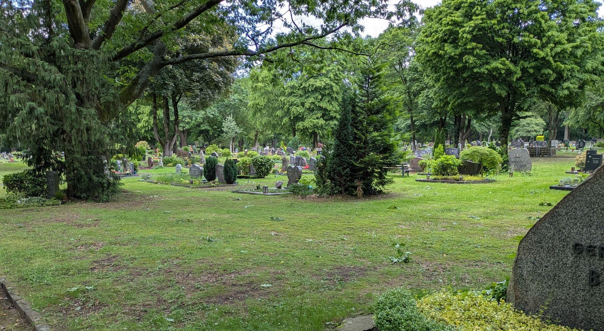 Ein Friedhof mit alten Bäumen