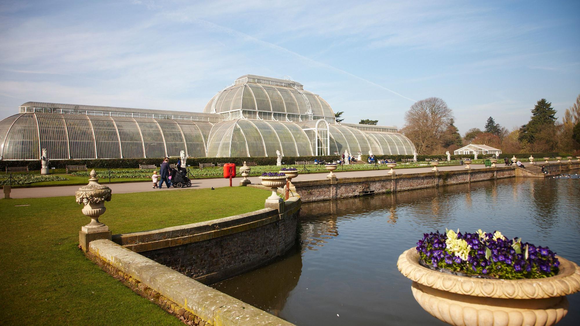 Das Palmenhaus des Kew Gardens in London