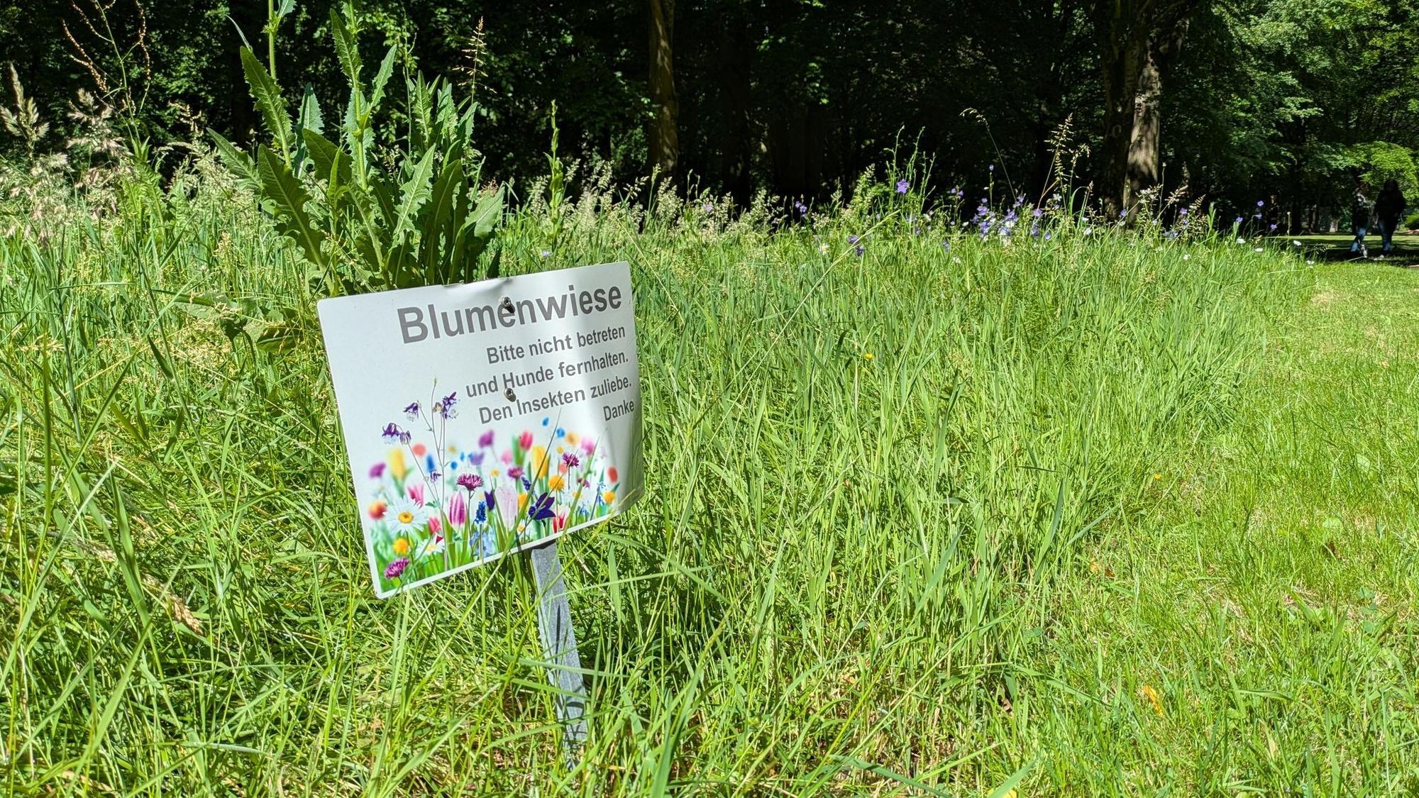Eine Blühwiese auf dem Friedhof Reuschenberg