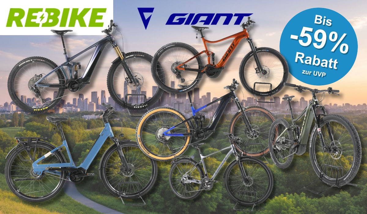 Mehreren refurbished Giant E-Bikes verschiedener Kategorien – darunter vollgefederte E-Mountainbikes, ein City-E-Bike mit tiefem Einstieg sowie Trekking- und SUV-E-Bikes – vor einer Stadtpanorama-Kulisse mit grüner Parklandschaft im Vordergrund. Logos von Rebike und Giant sind oben abgebildet.