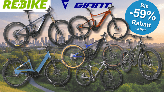 Mehreren refurbished Giant E-Bikes verschiedener Kategorien – darunter vollgefederte E-Mountainbikes, ein City-E-Bike mit tiefem Einstieg sowie Trekking- und SUV-E-Bikes – vor einer Stadtpanorama-Kulisse mit grüner Parklandschaft im Vordergrund. Logos von Rebike und Giant sind oben abgebildet.