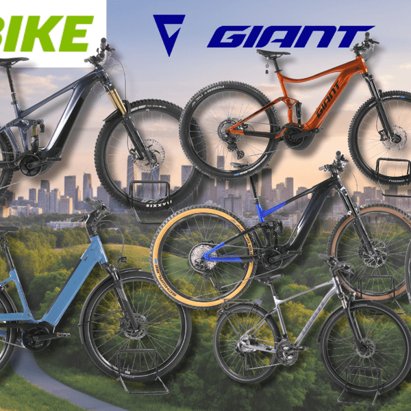 Mehreren refurbished Giant E-Bikes verschiedener Kategorien – darunter vollgefederte E-Mountainbikes, ein City-E-Bike mit tiefem Einstieg sowie Trekking- und SUV-E-Bikes – vor einer Stadtpanorama-Kulisse mit grüner Parklandschaft im Vordergrund. Logos von Rebike und Giant sind oben abgebildet.