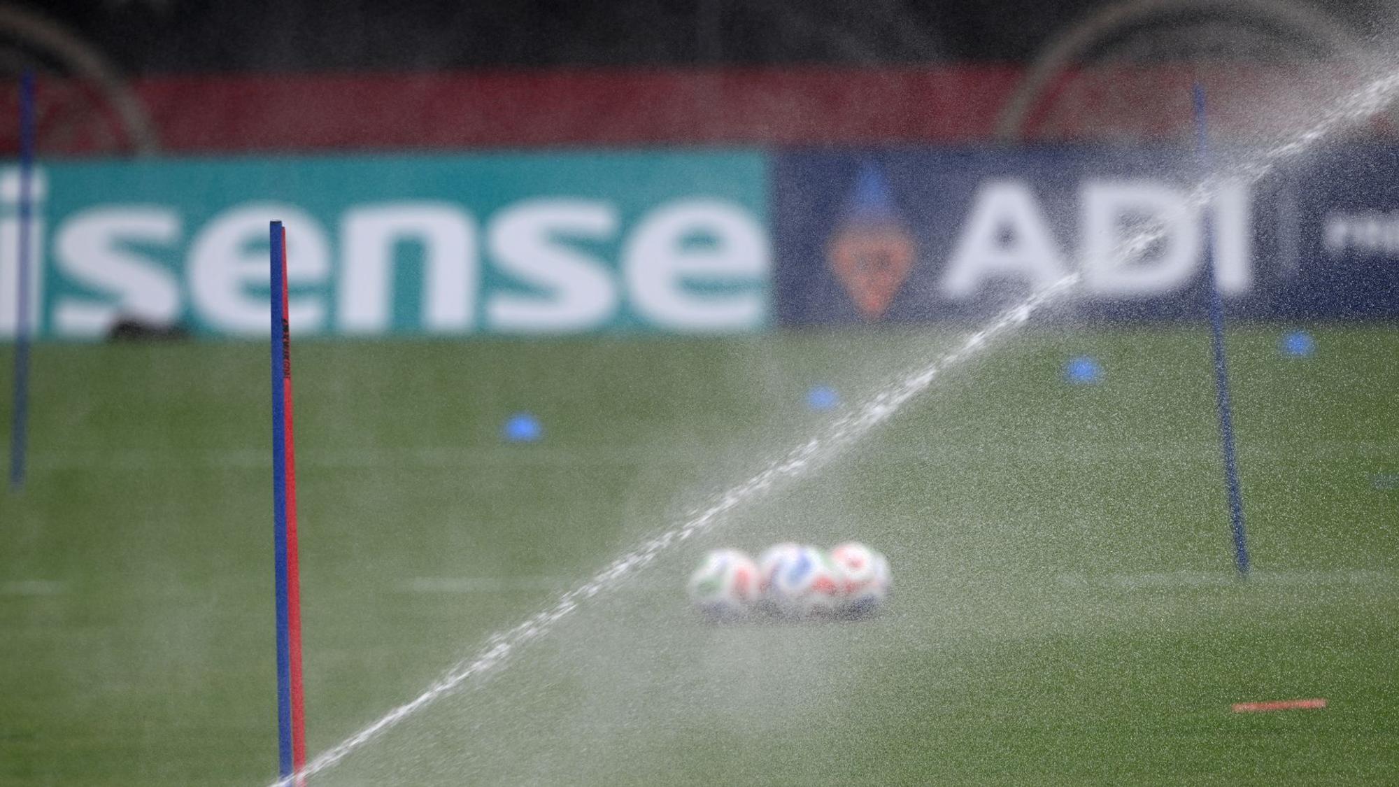 Rasen im DFB-Trainingsstadion