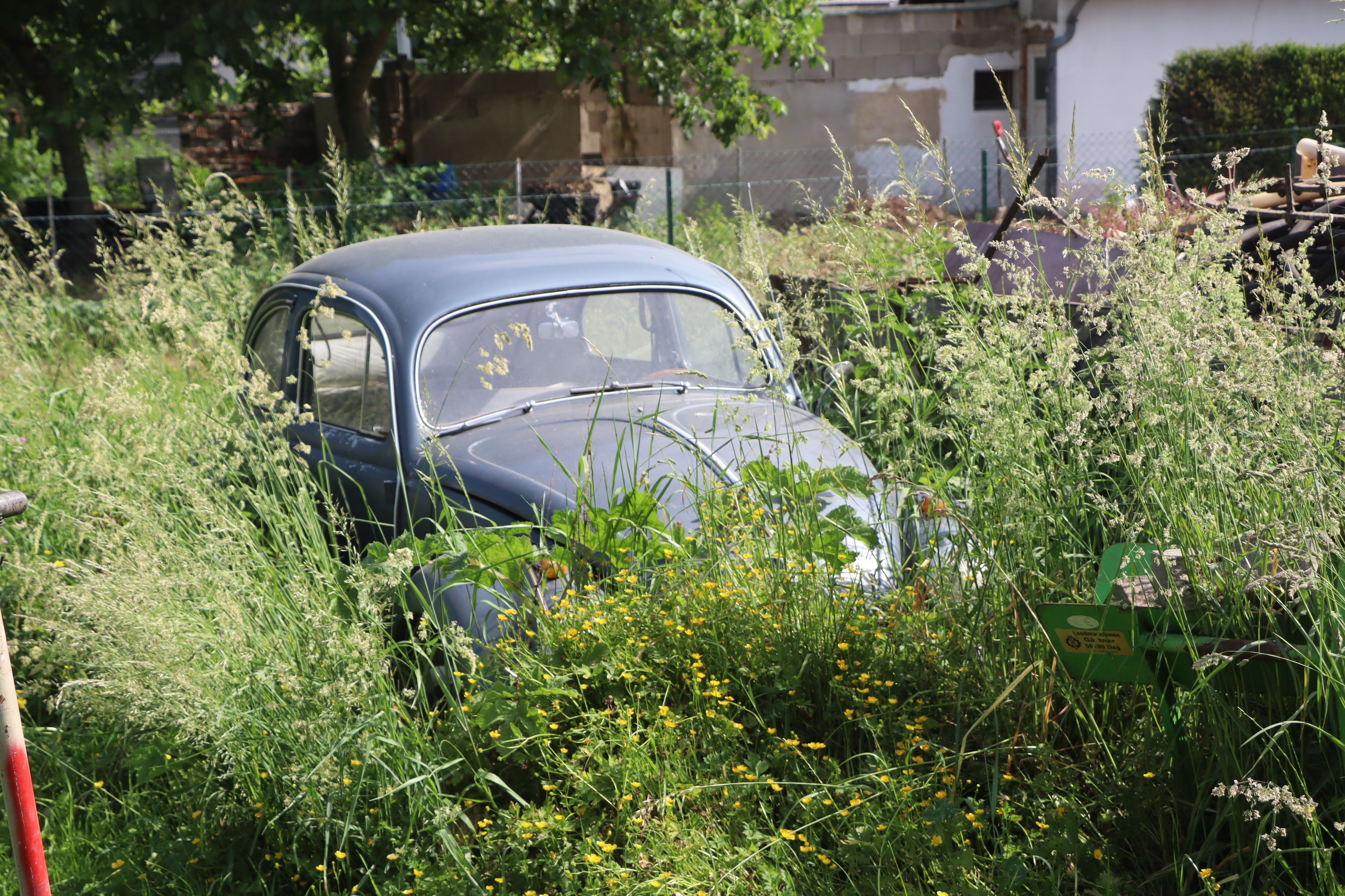 Ein Auto steht im hohen Gras.