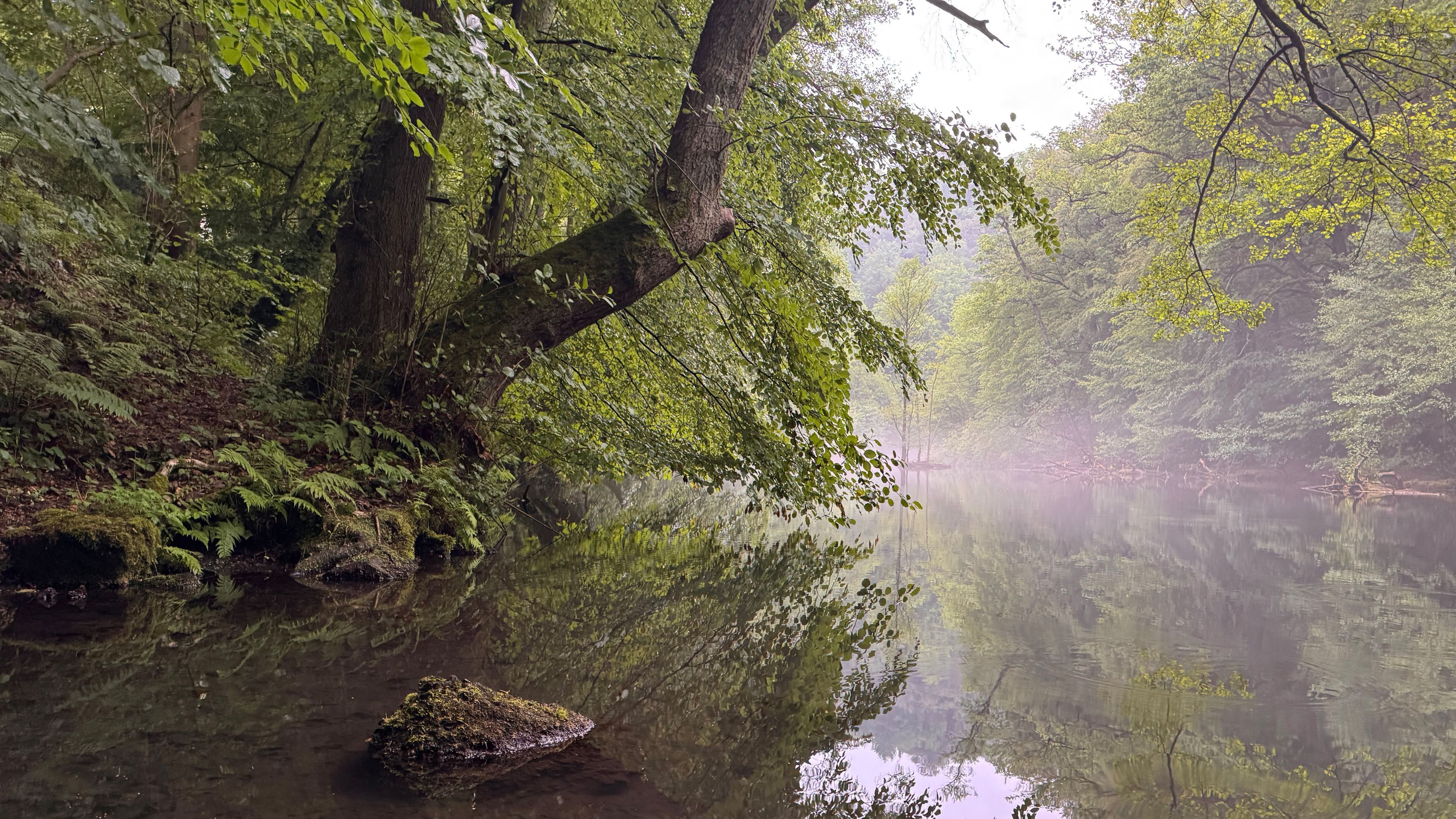 Die Wupper im Mai beim Radevormwalder Ortsteil Dahlerau