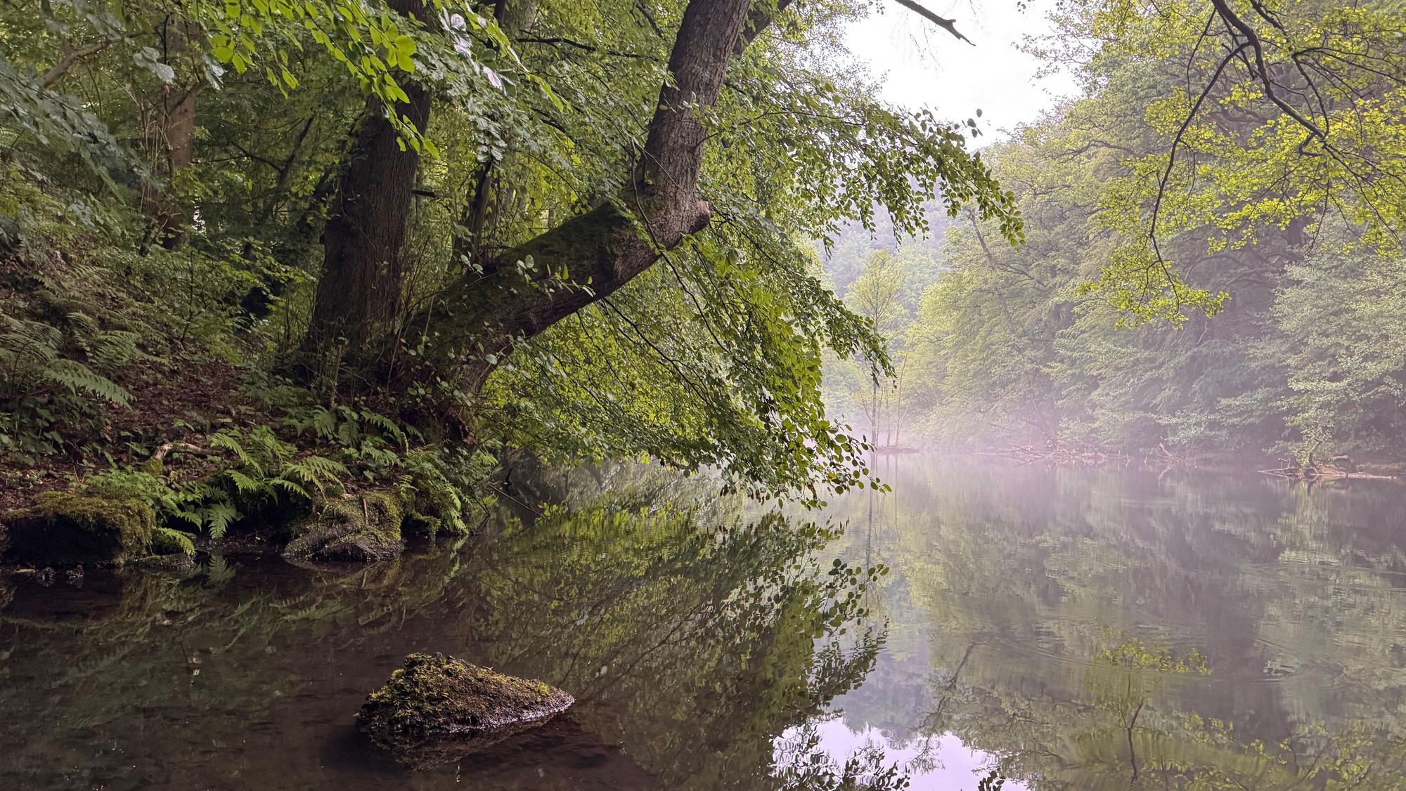 Die Wupper im Mai beim Radevormwalder Ortsteil Dahlerau