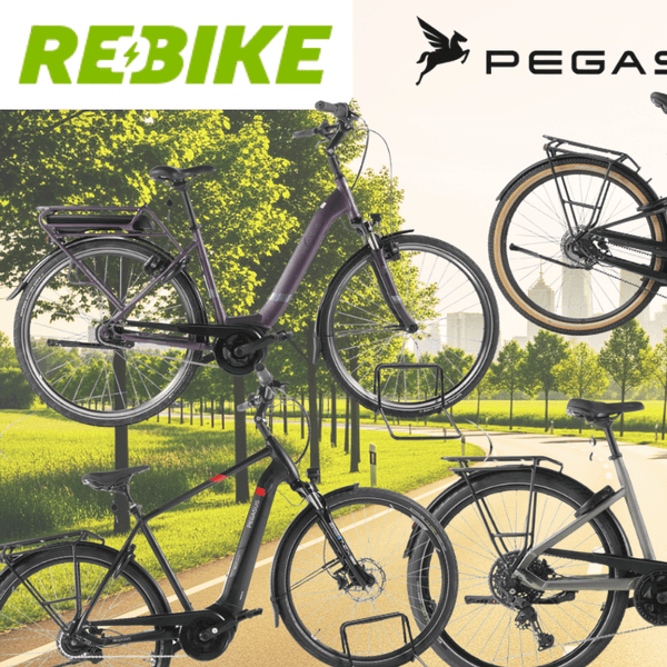 Eine Darstellung von Pegasus Fahrrädern vor einem Fahrradweg.